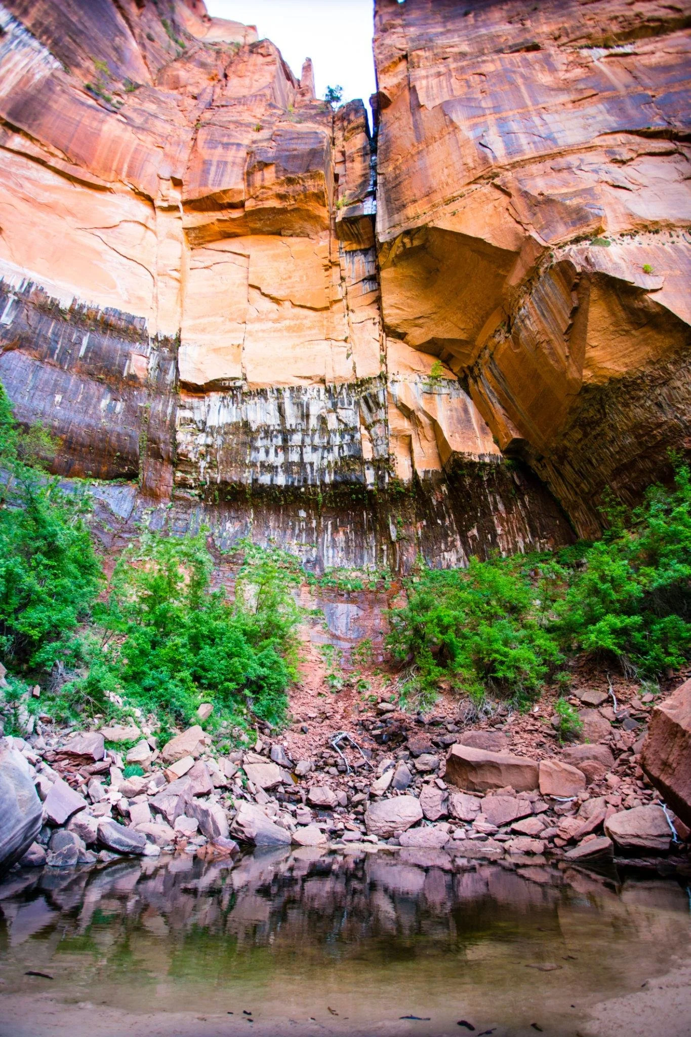 Upper Emerald Pools scenic water and cliffs in Zion National Park Utah