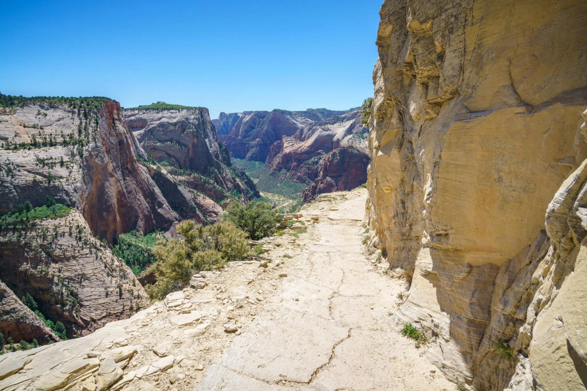 View of Angels Landing from Observation Point in Zion National Park Utah