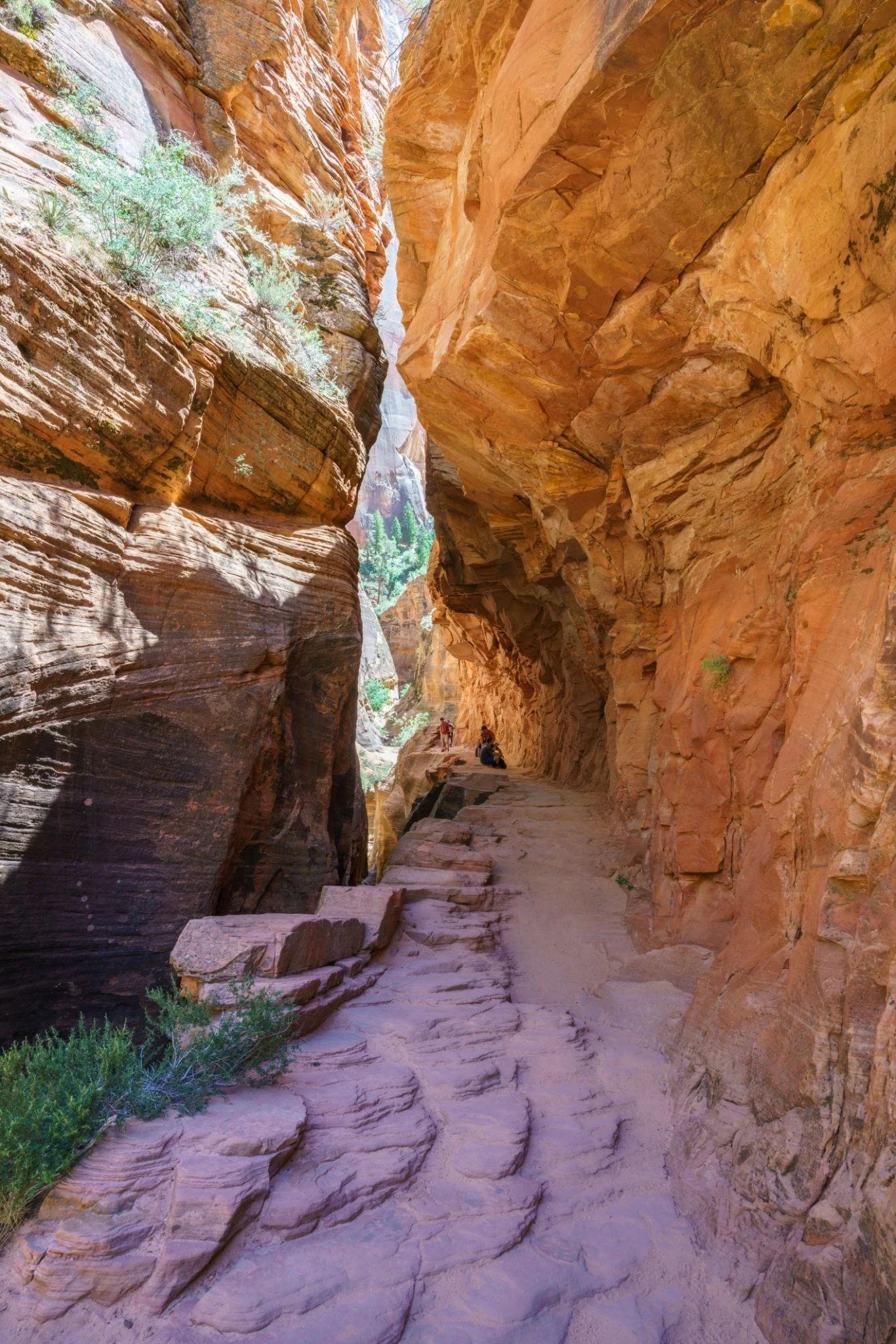 Hiking trail leading to Observation Point through desert terrain in Zion Utah