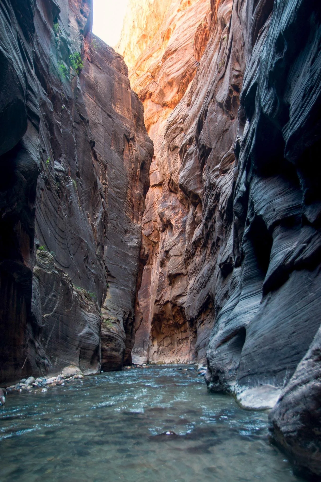 Hiker wearing water shoes walking through The Narrows river hike in Zion National Park