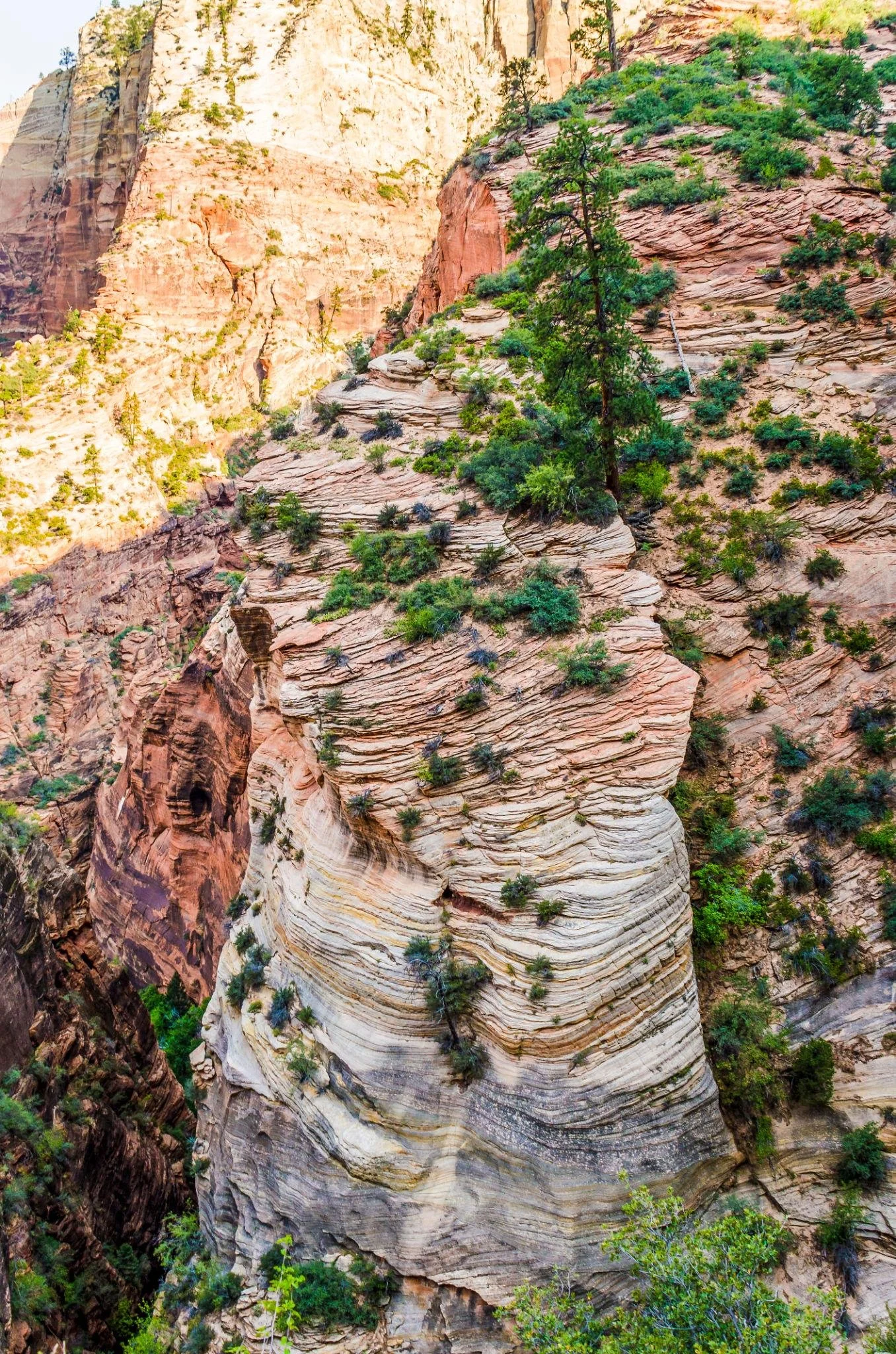 Cliffside overlook at Observation Point with view of Zion Canyon below