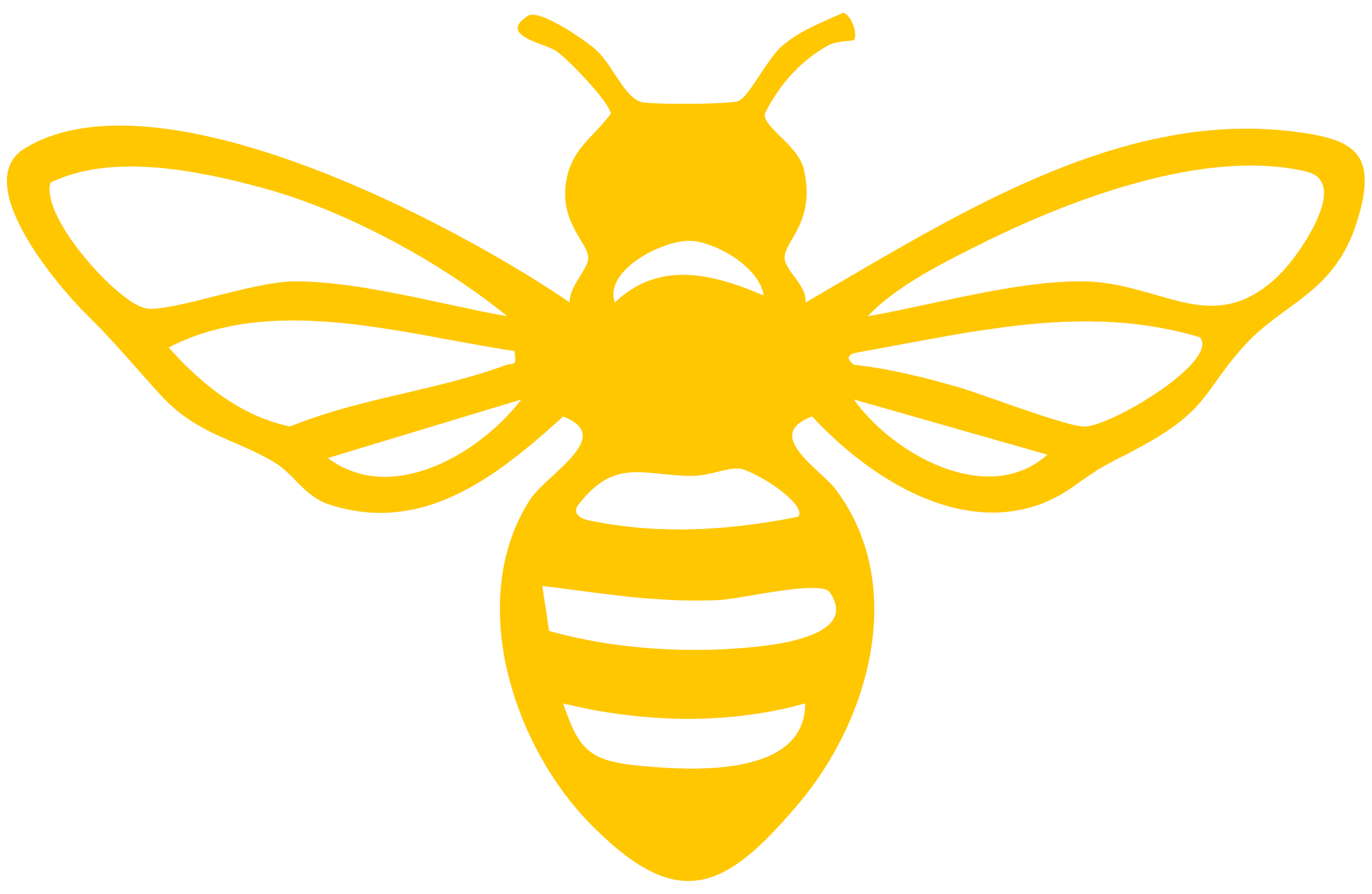 outline of a bee with stripes and wings in yellow
