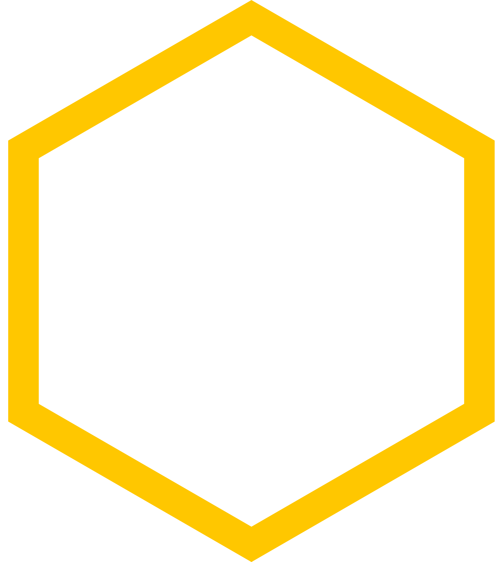 A hexagon with a yellow border.