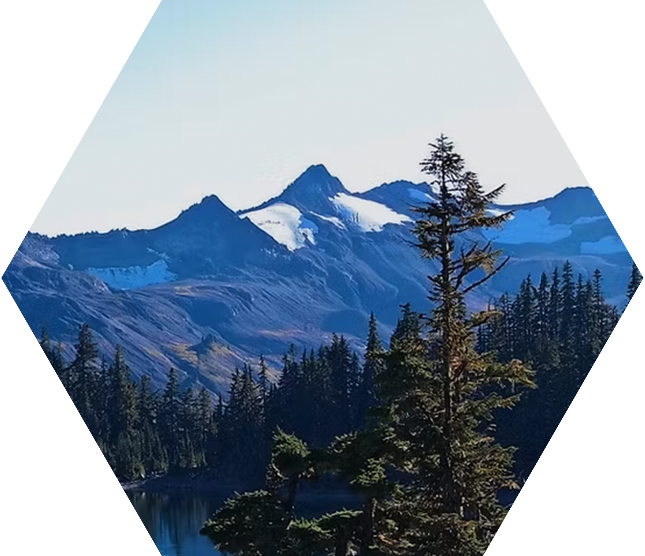 Snow-capped mountains in the distance with dense pine forest in foreground next to a mountain lake.