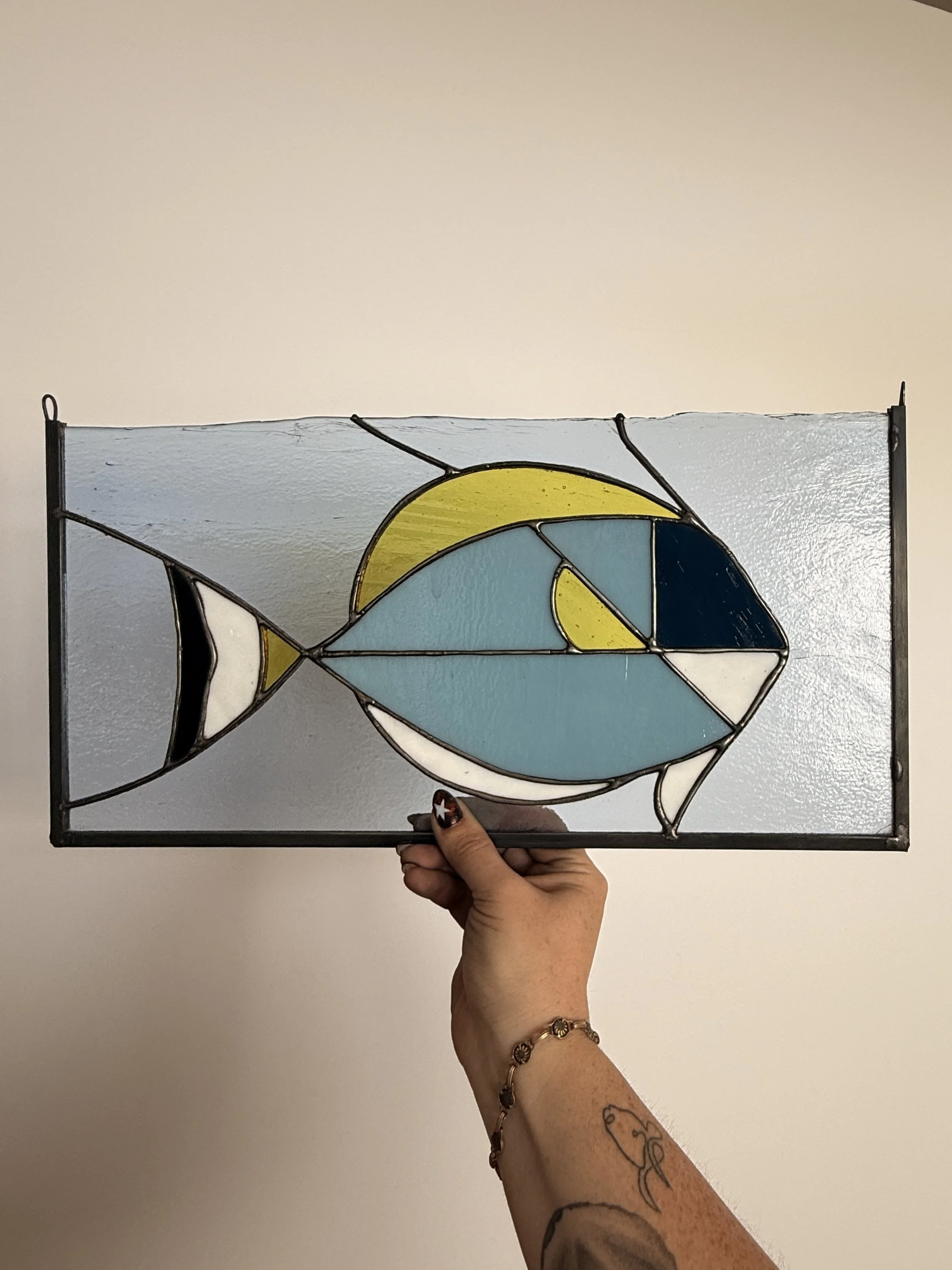 Powder Blue Tang