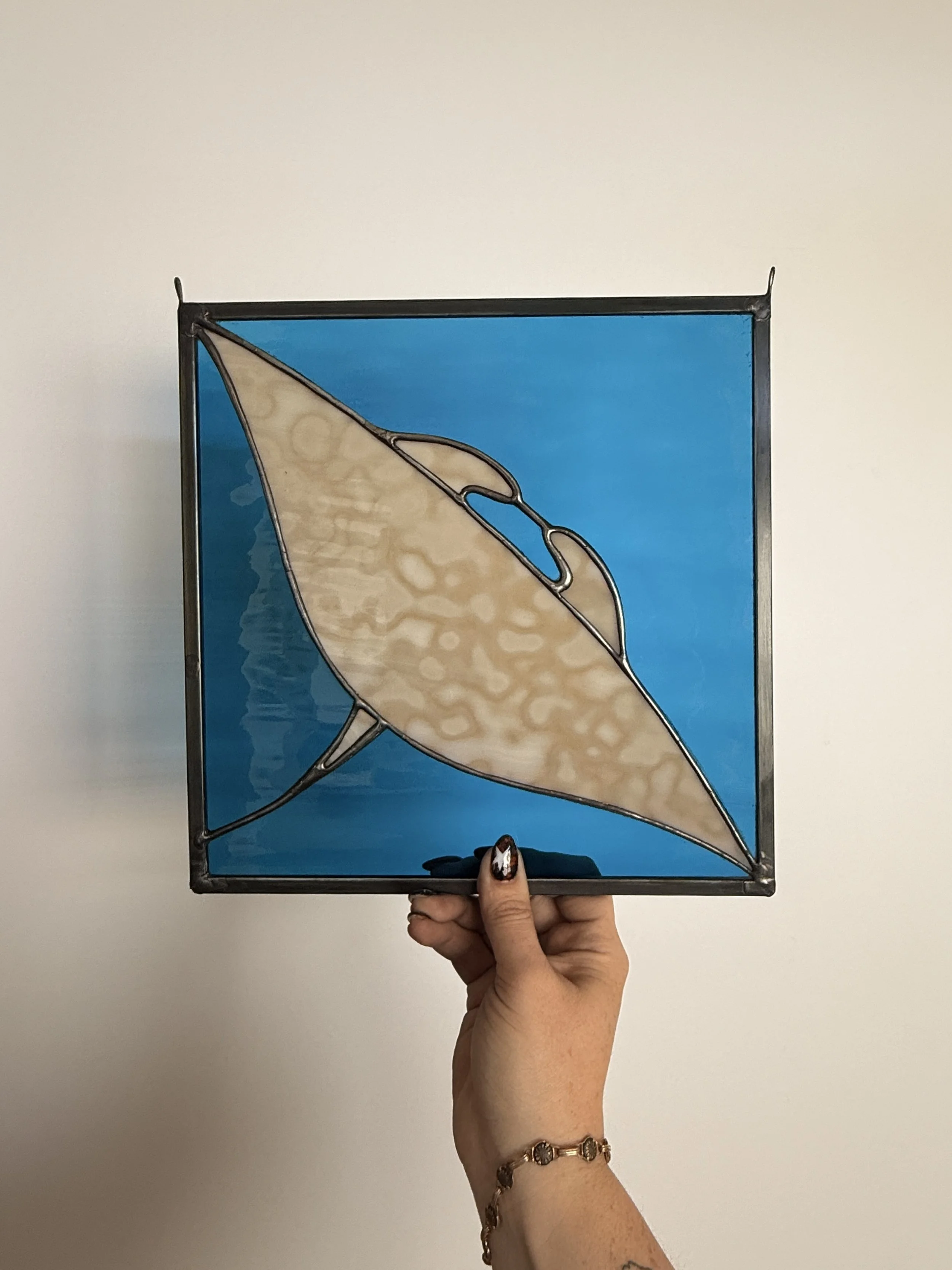 Giant Manta Ray