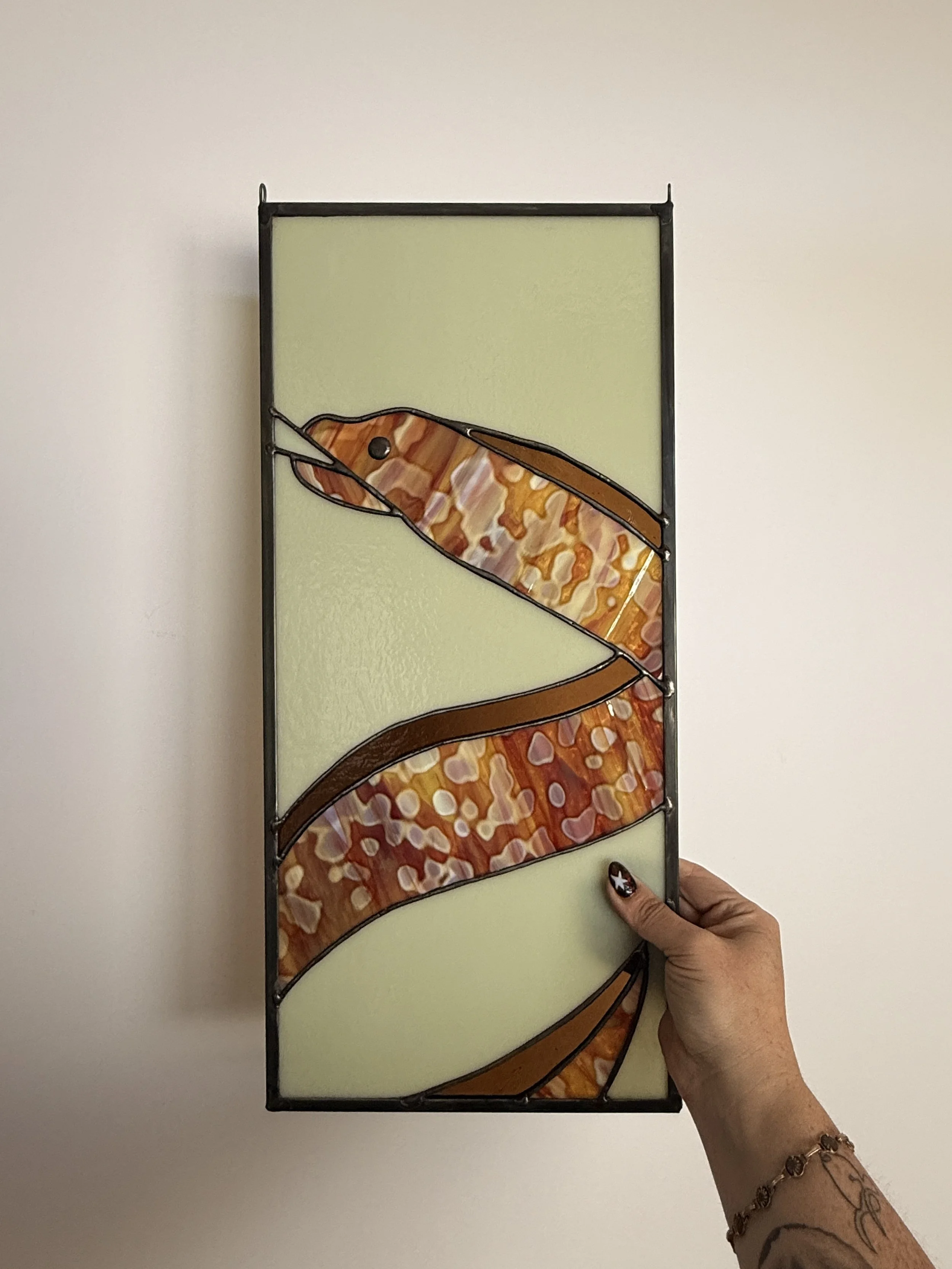 Leopard Moray Eel
