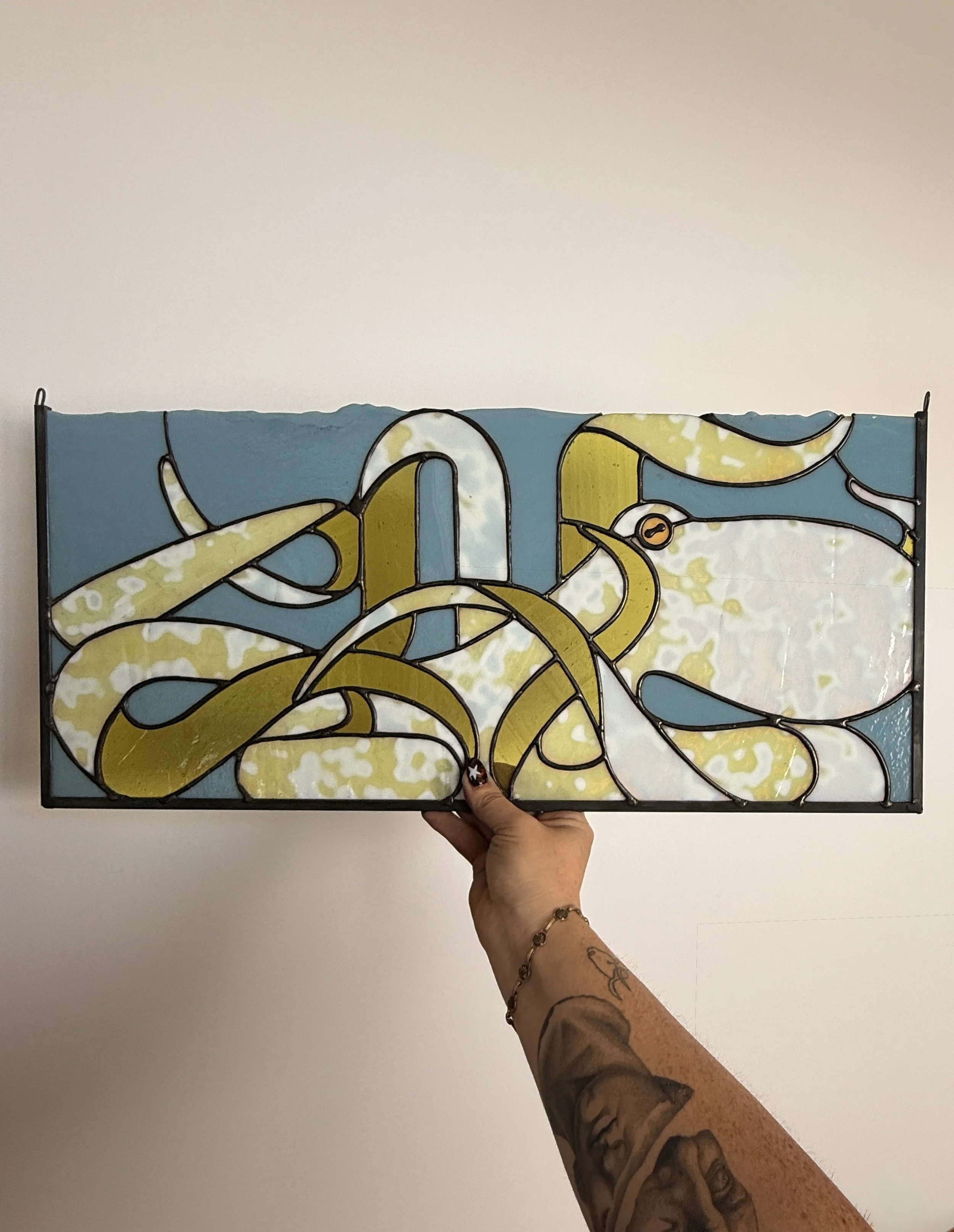 Caribbean Reef Octopus