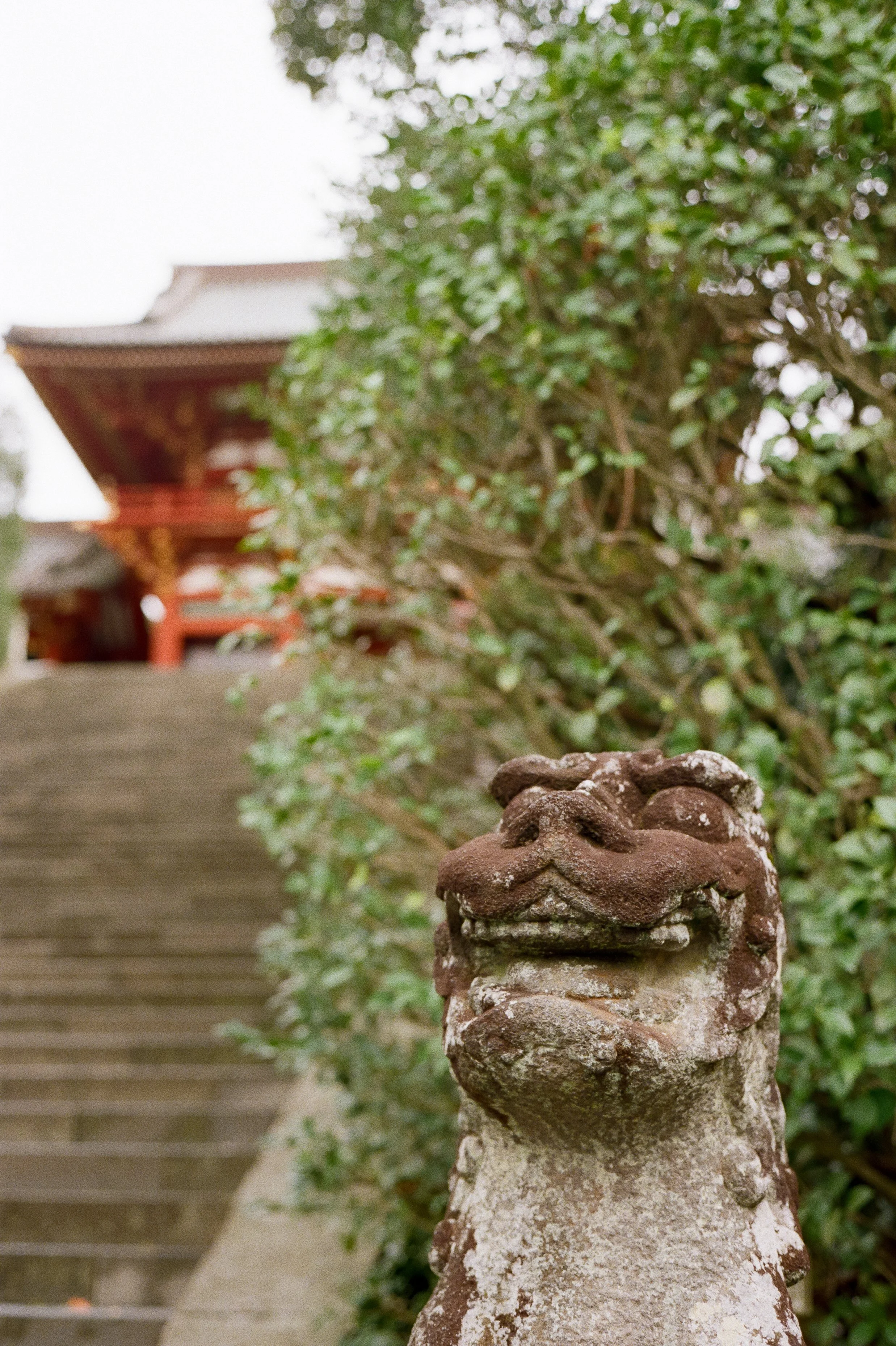 P800 G2 Kamakura-17.jpg