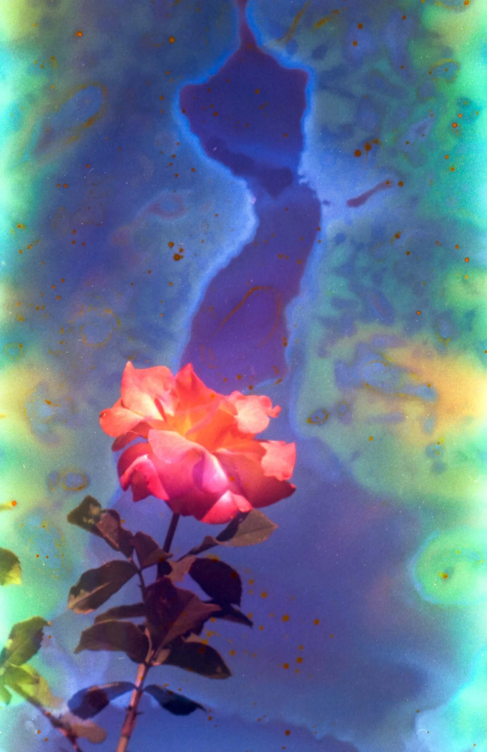 WEB F400 Flowers-25.jpg