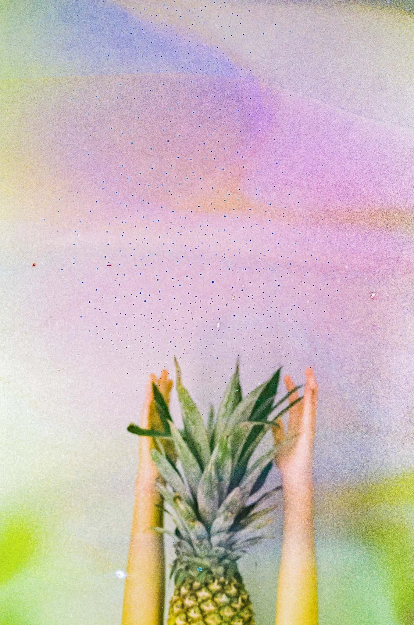 WEB Film Soup Color Plus-24.jpg