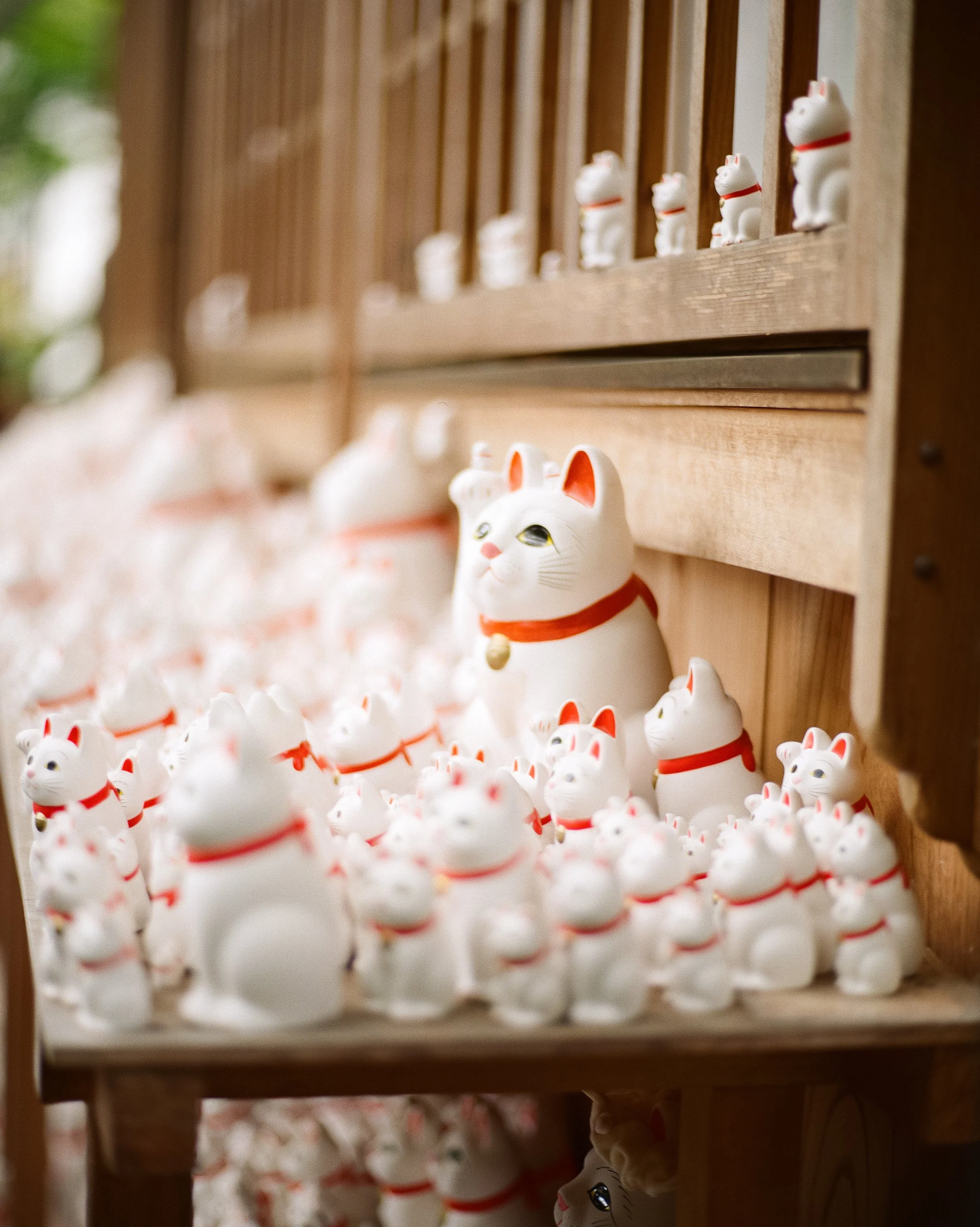 P67 P800 Kitty Shrine-6.jpg