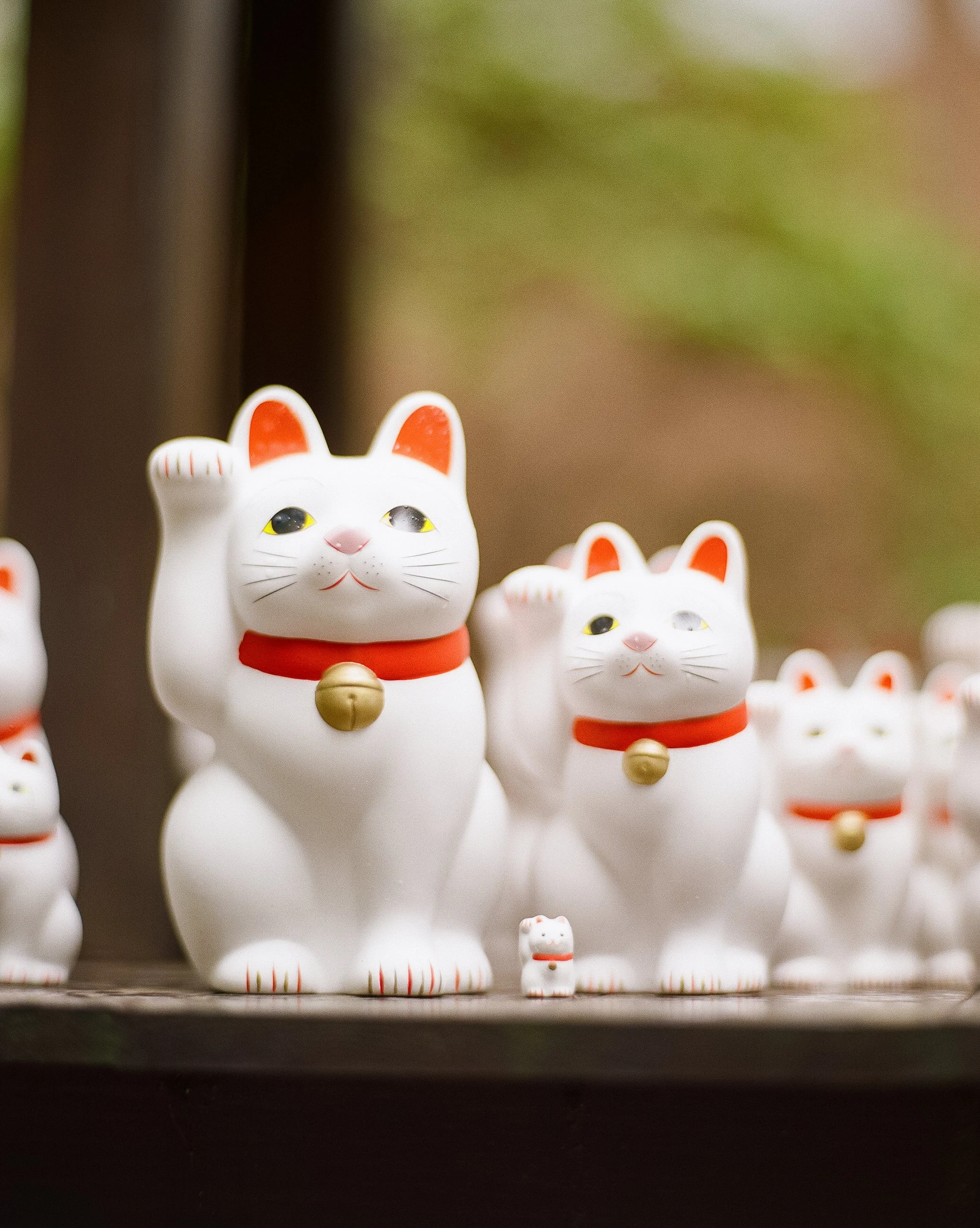 P67 P800 Kitty Shrine-10.jpg
