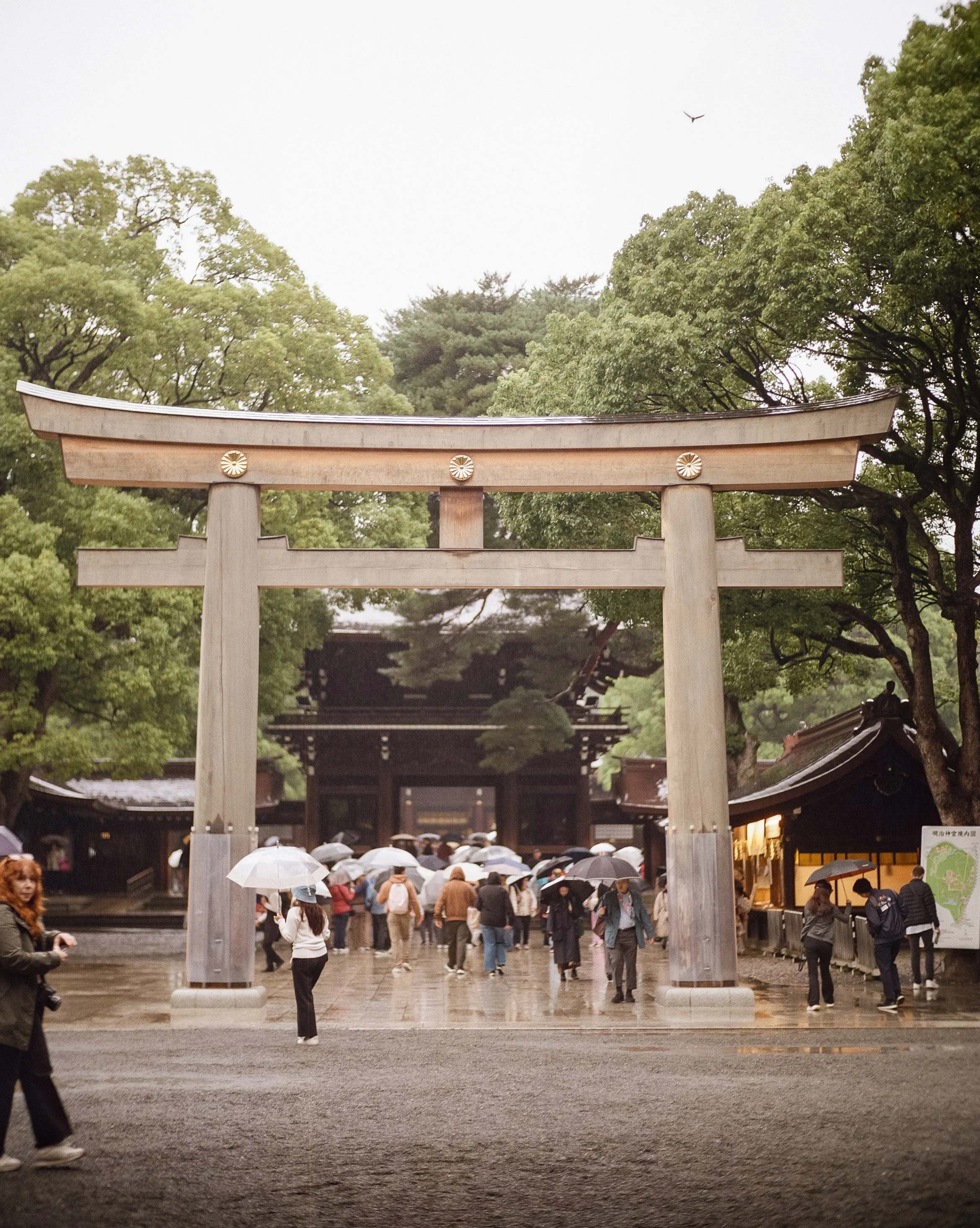 P67 P800 +1 Tokyo-8.jpg