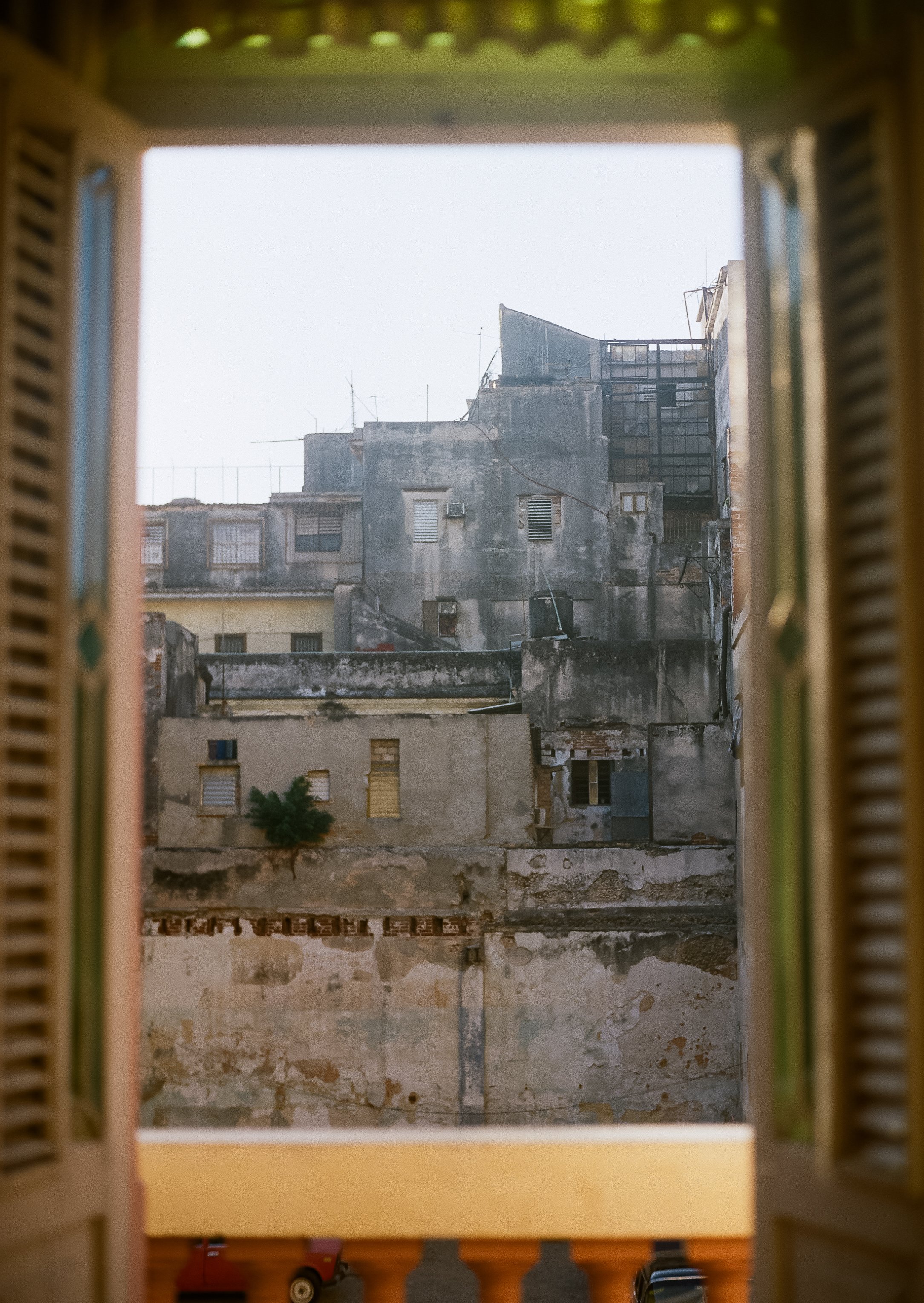 Cuba 2025 P800-56.jpg