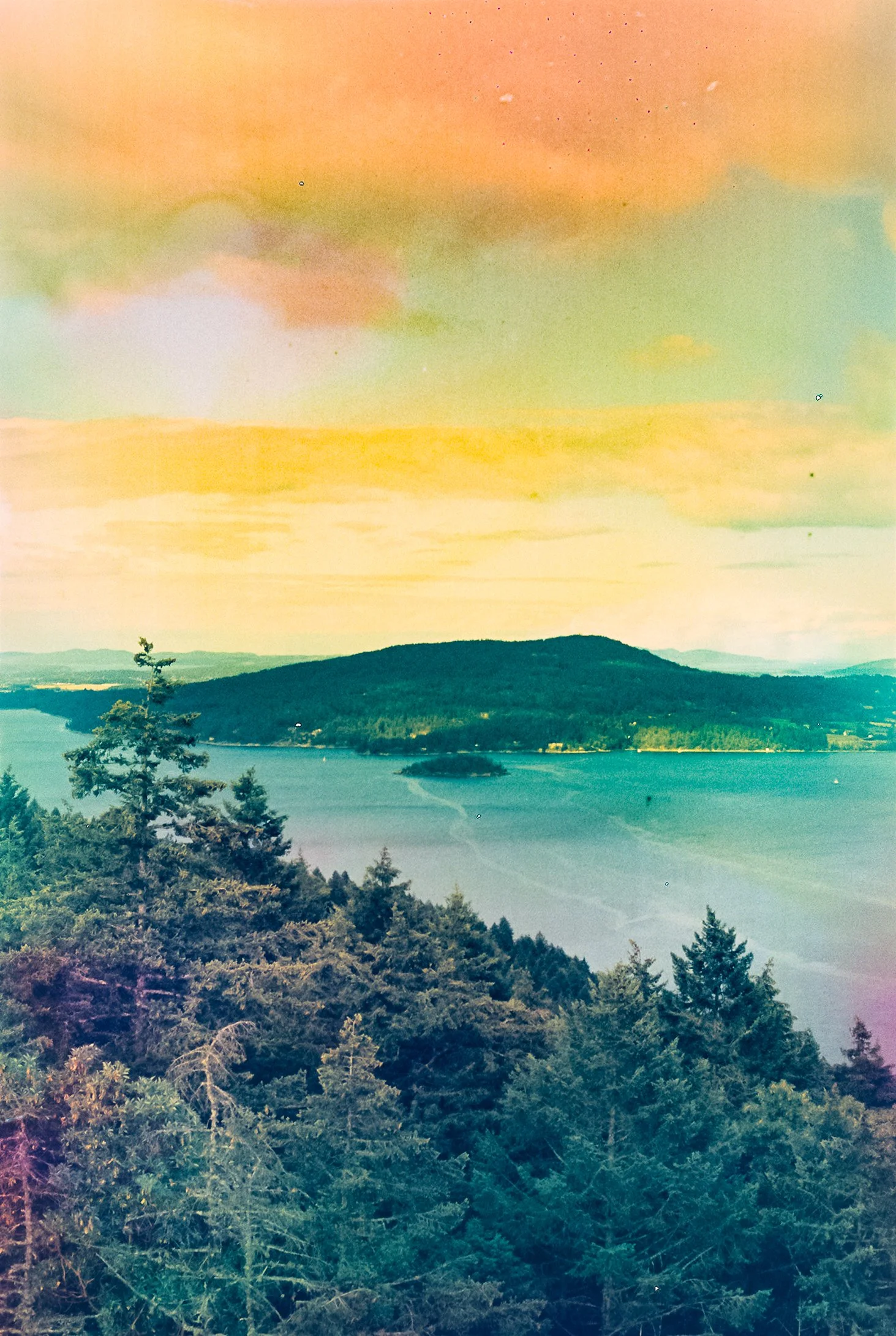 Tofino Soup P400-4.jpg