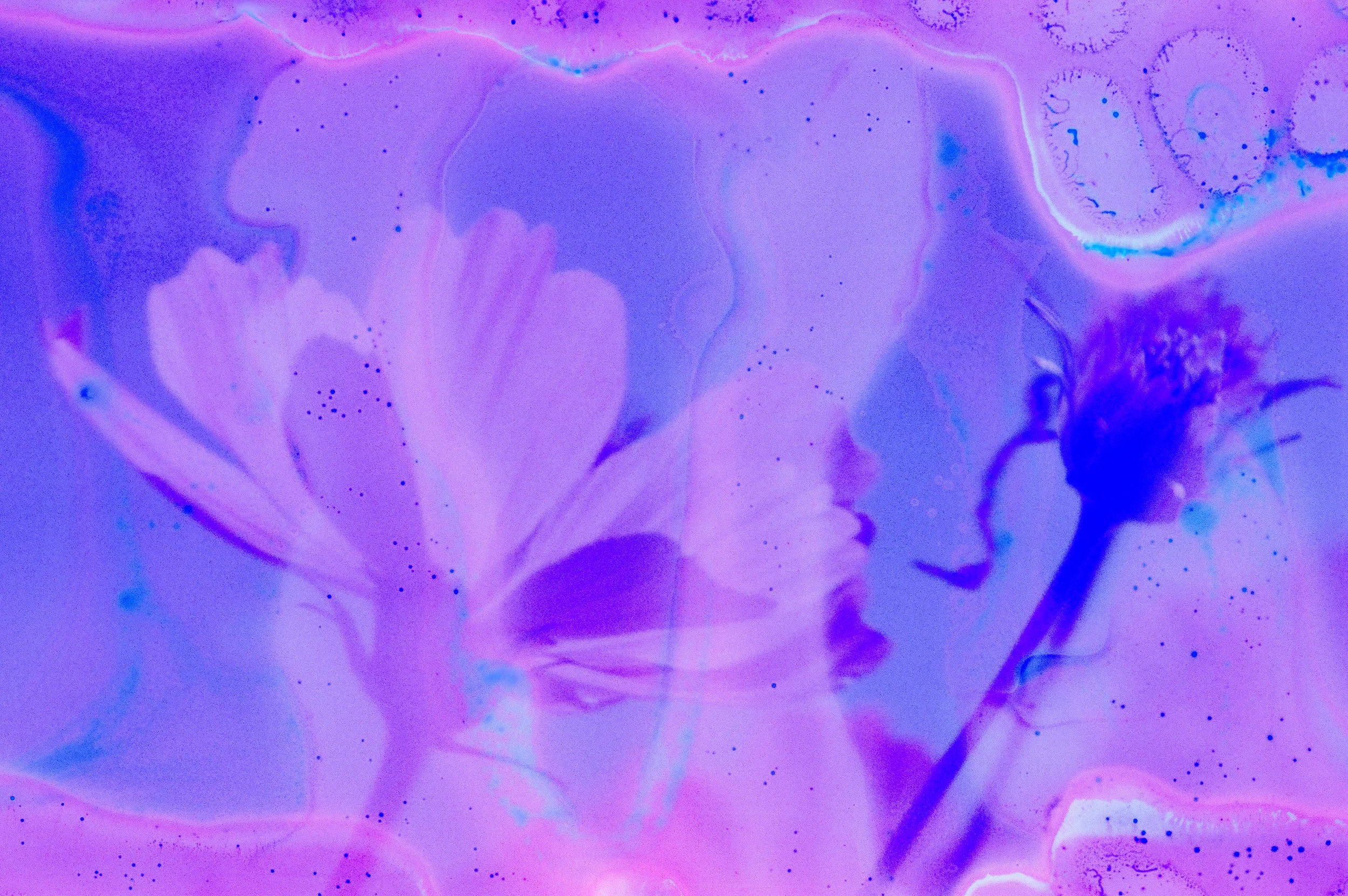 Flower Soup F200 Expired-19.jpg