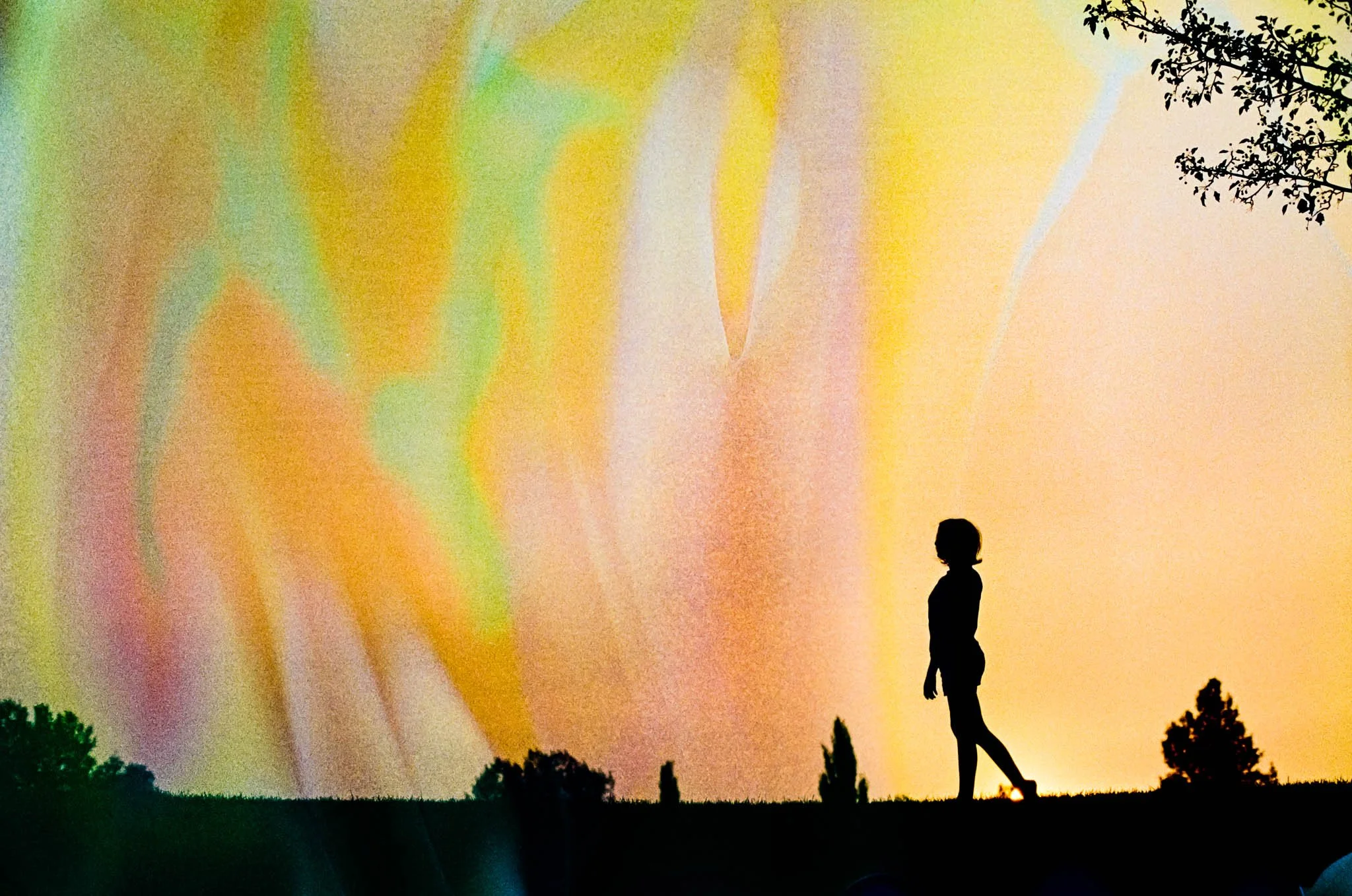 WEB Film Soup Color Plus-12.jpg