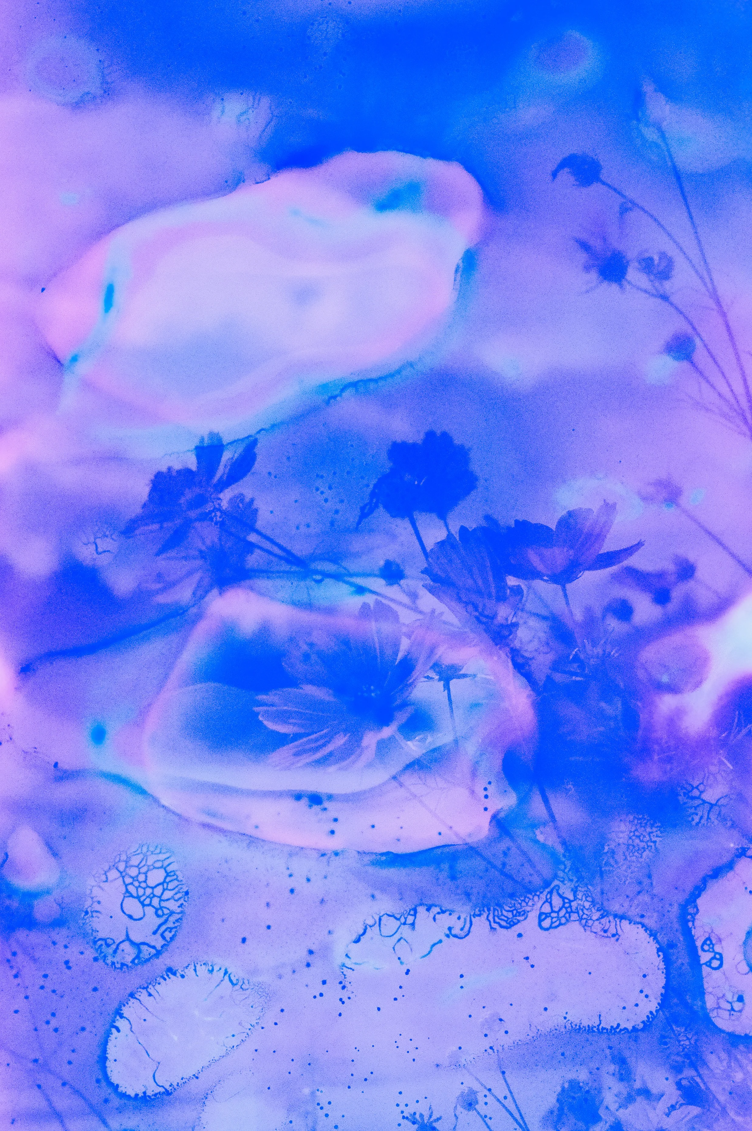 Flower Soup F200 Expired-13.jpg