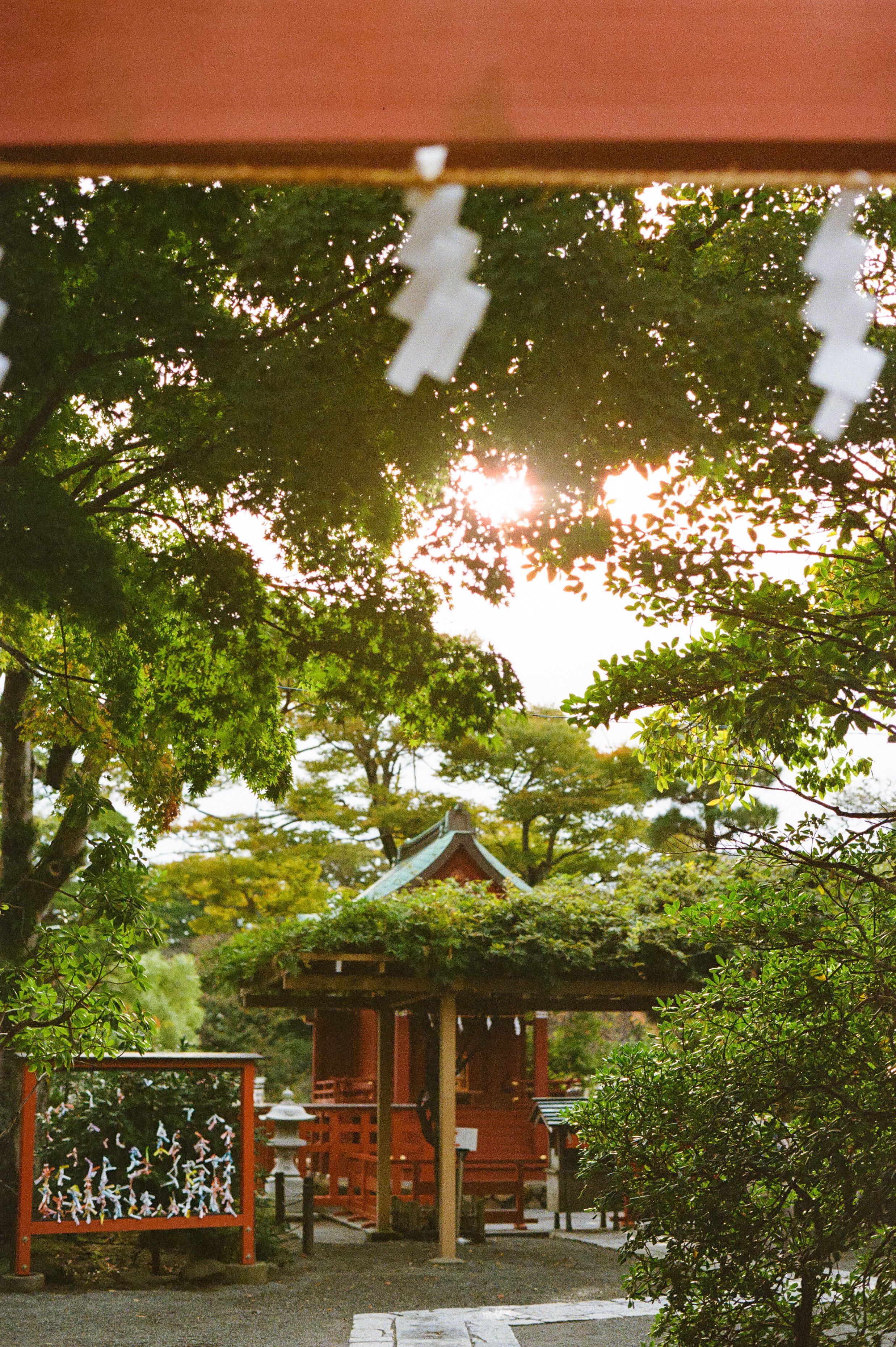 P800 G2 Kamakura-18.jpg