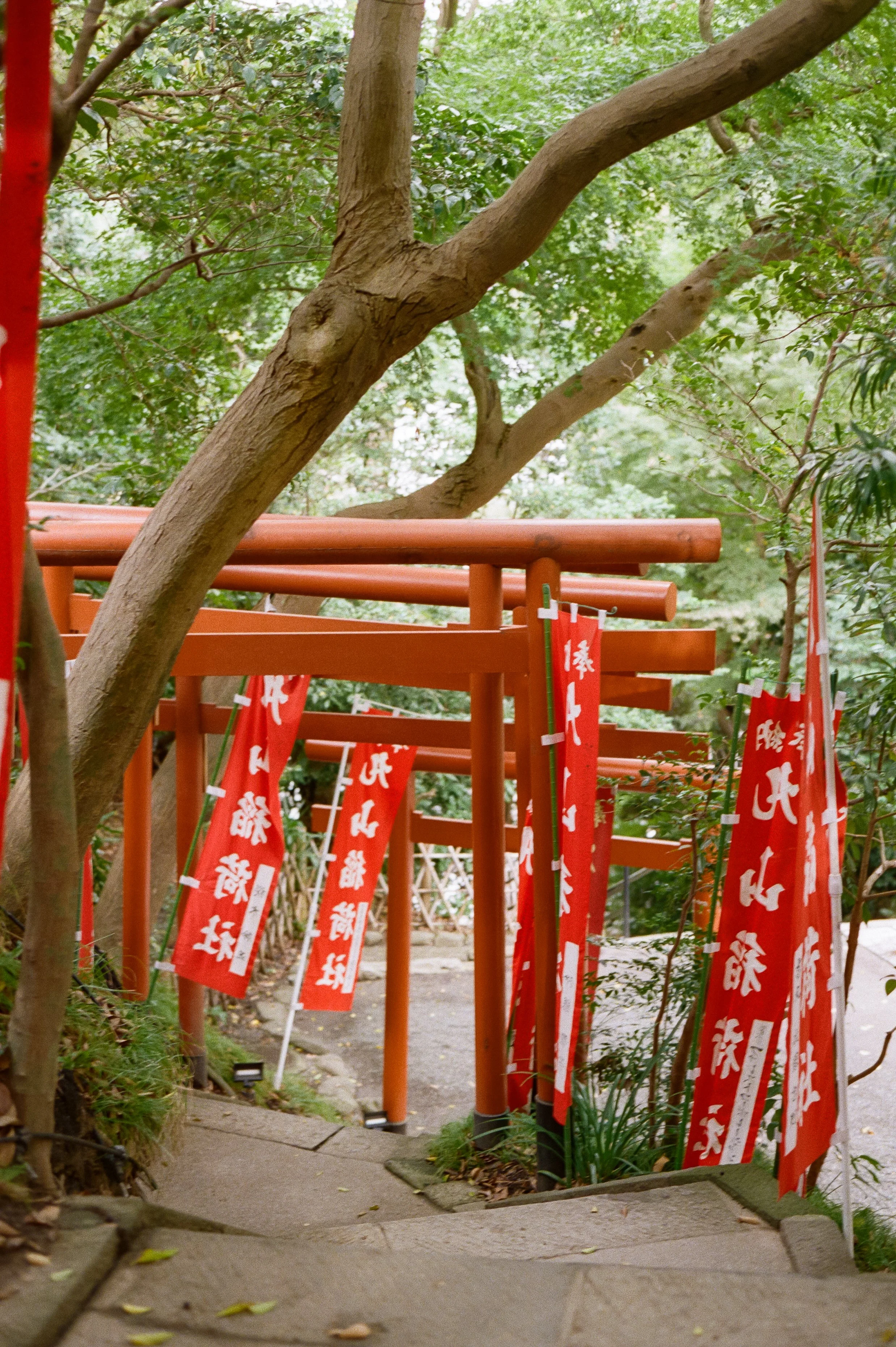 P800 G2 Kamakura-22.jpg