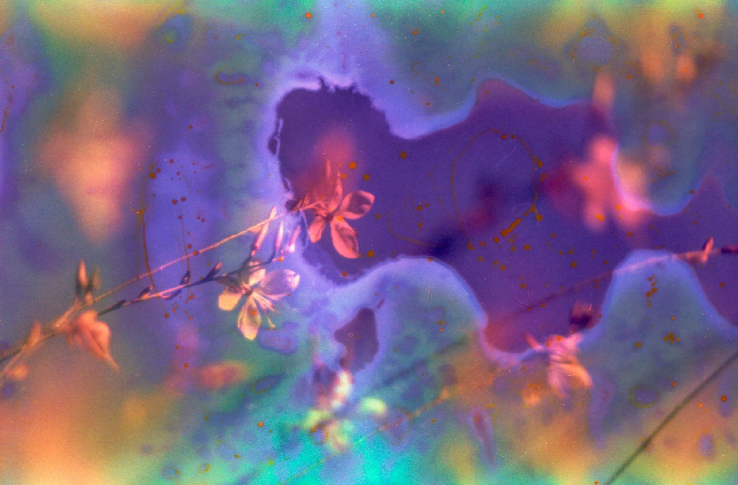 WEB F400 Flowers-26.jpg