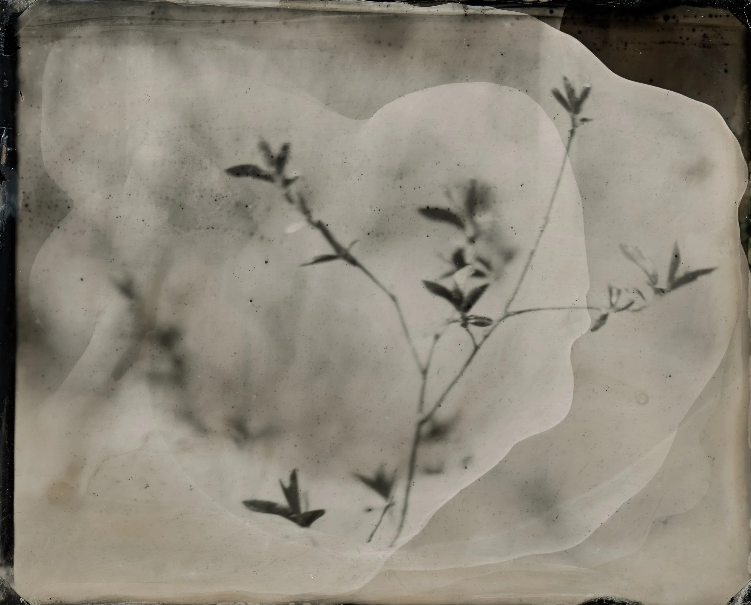 NEW Tintypes-8.jpg