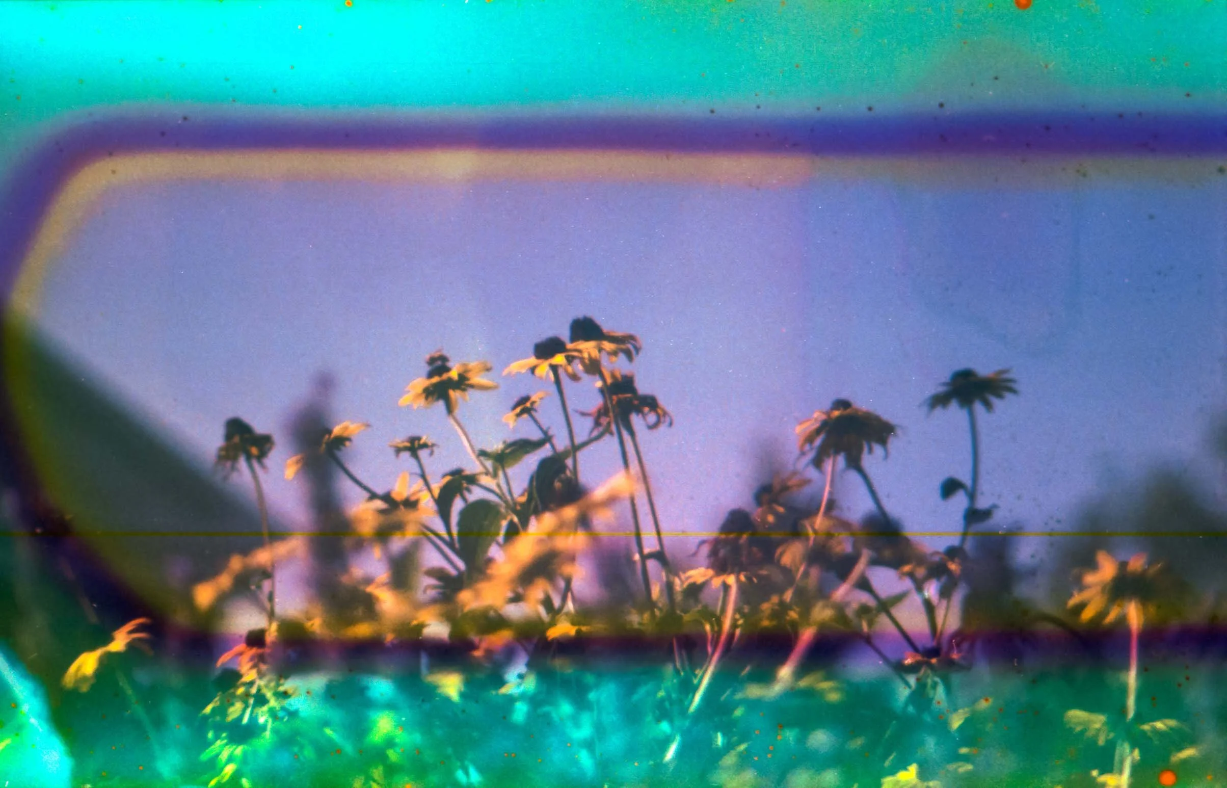 WEB F400 Flowers-8.jpg