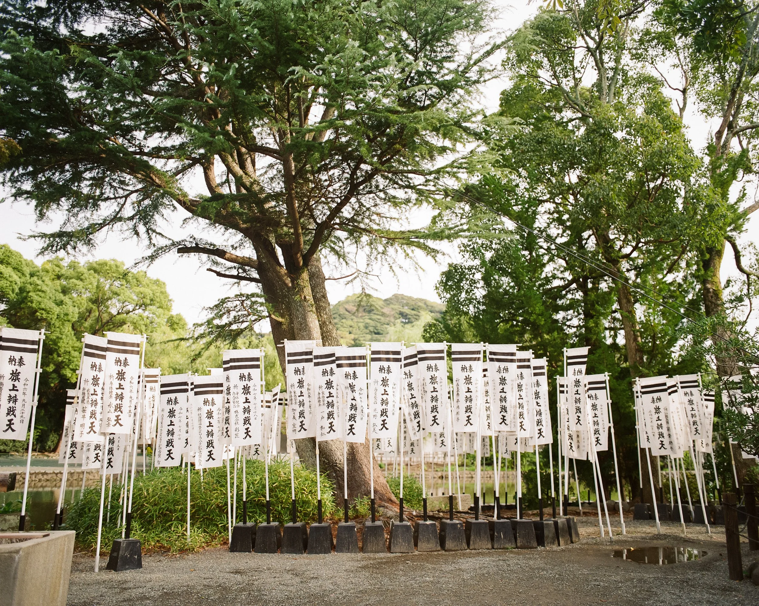 P67 P800 Kamakura roll 2-4.jpg