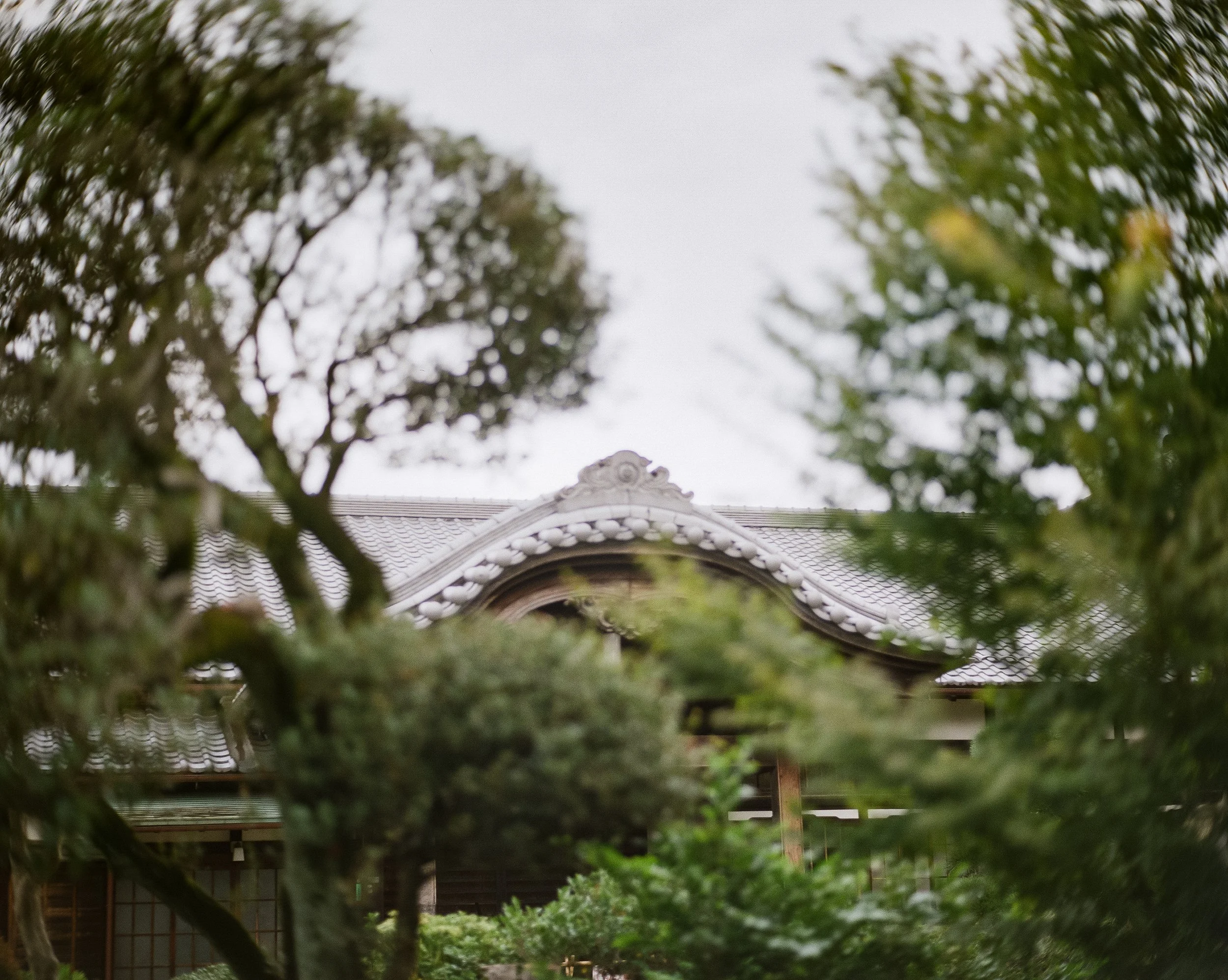 P67 P800 Kitty Shrine 2-2.jpg