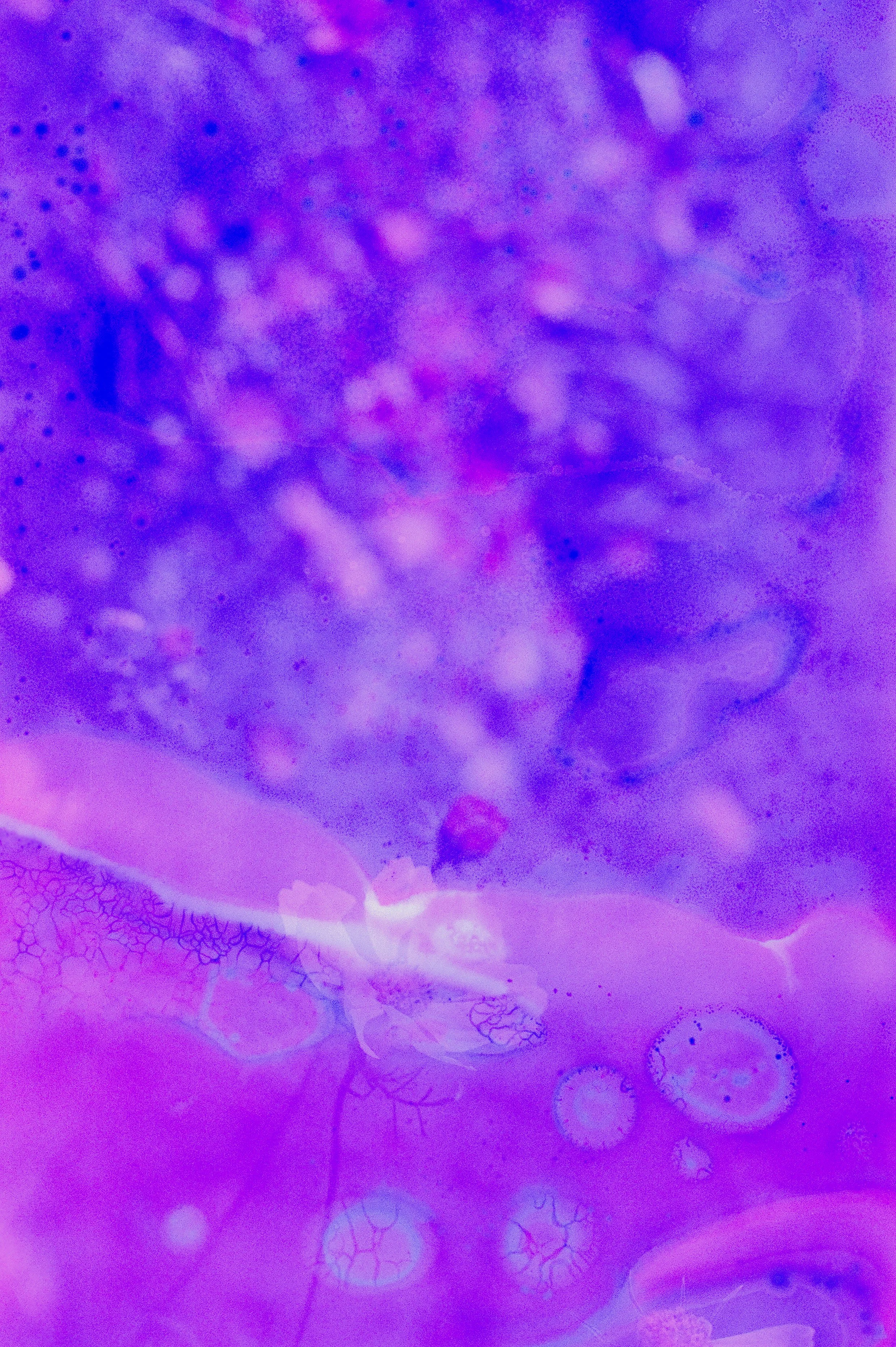 Flower Soup F200 Expired-9.jpg