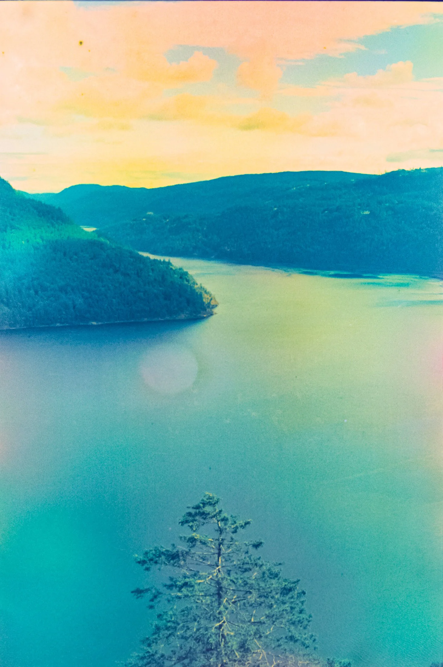 Tofino Soup P400-9.jpg