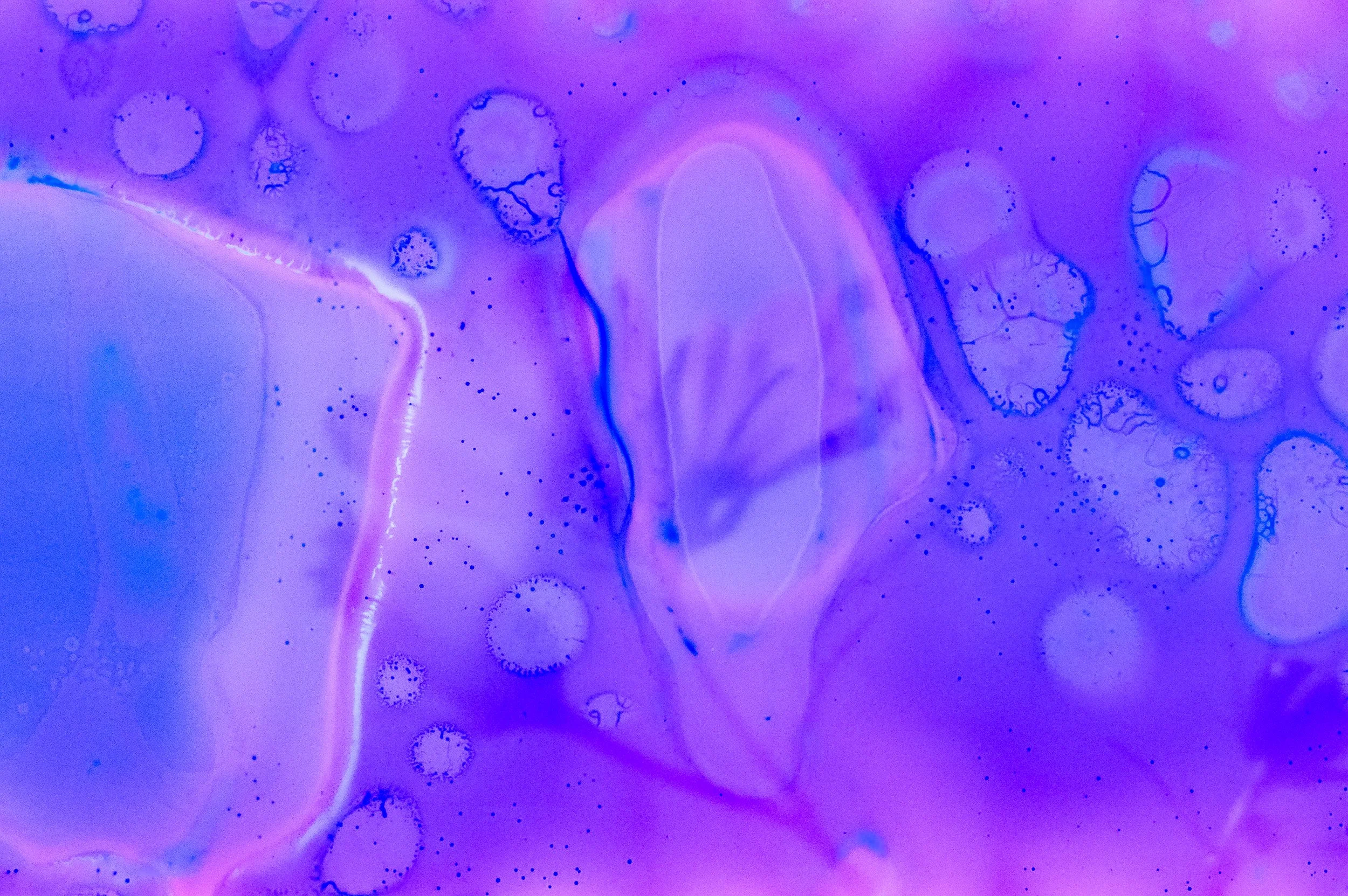 Flower Soup F200 Expired-20.jpg