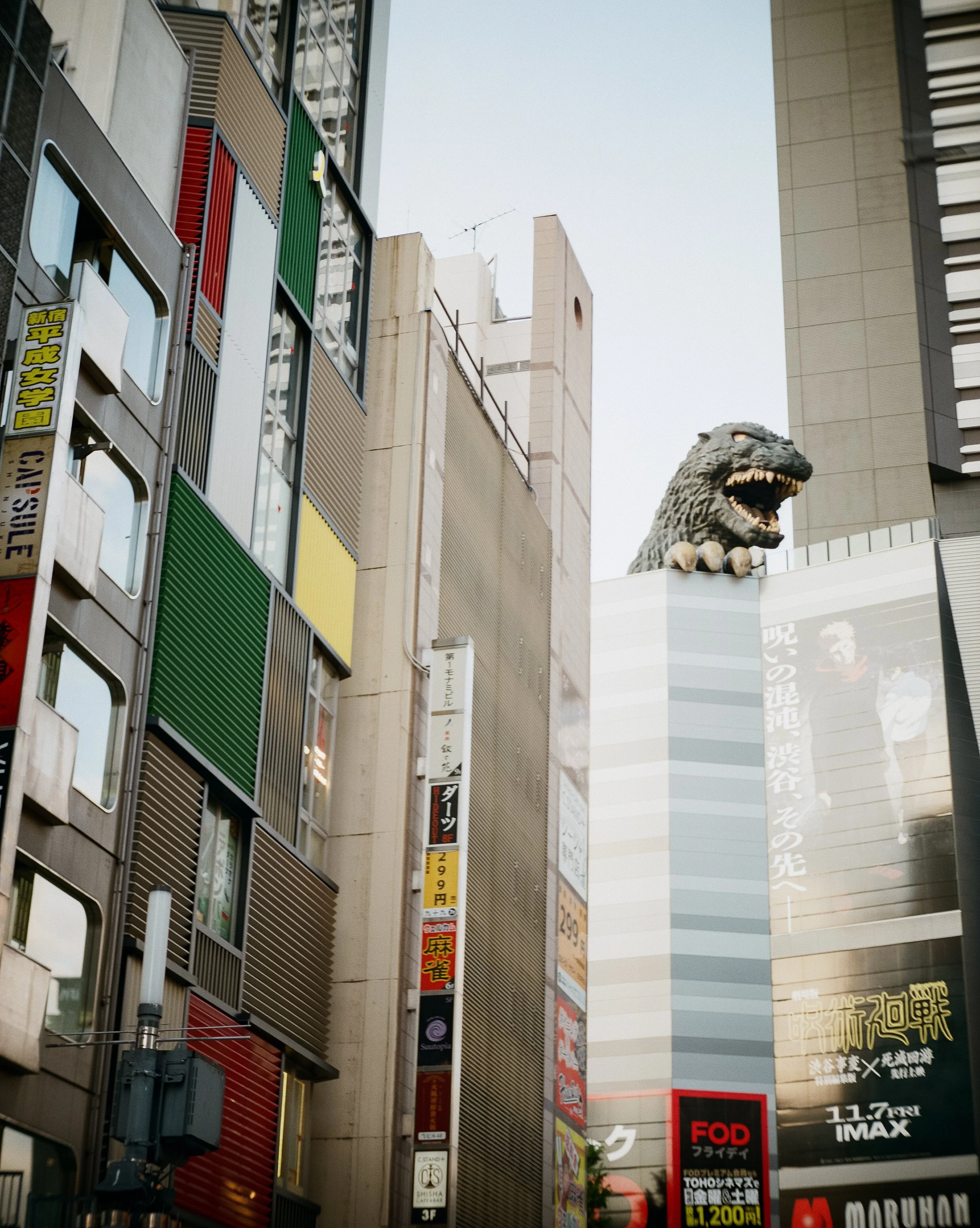 P67 P800 Shinjuku-2.jpg