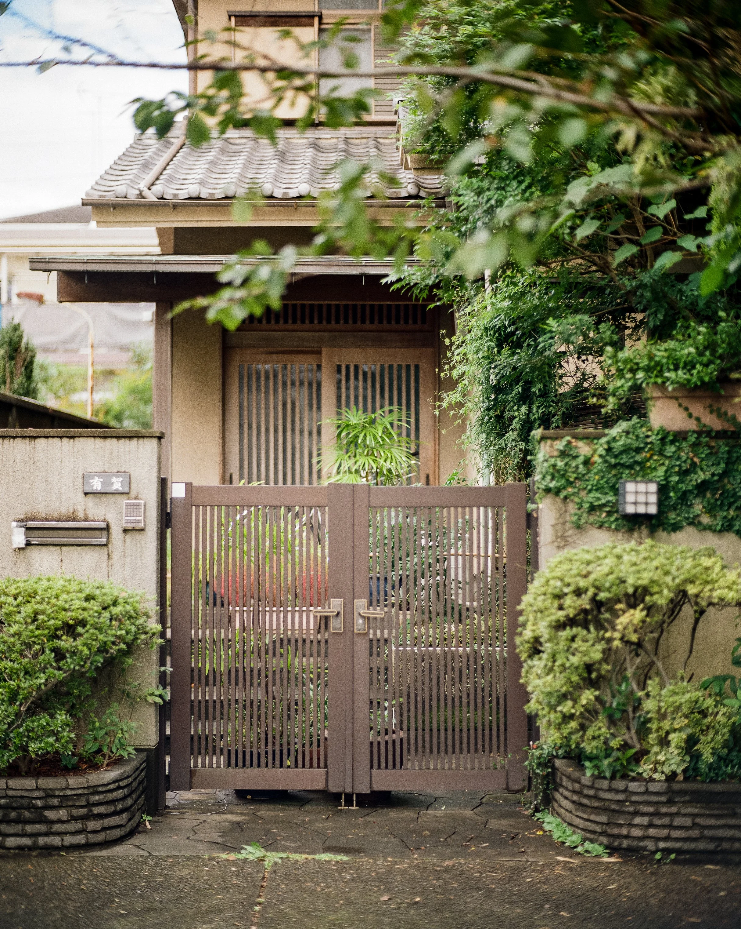 P67 P800 Kitty Shrine-4.jpg