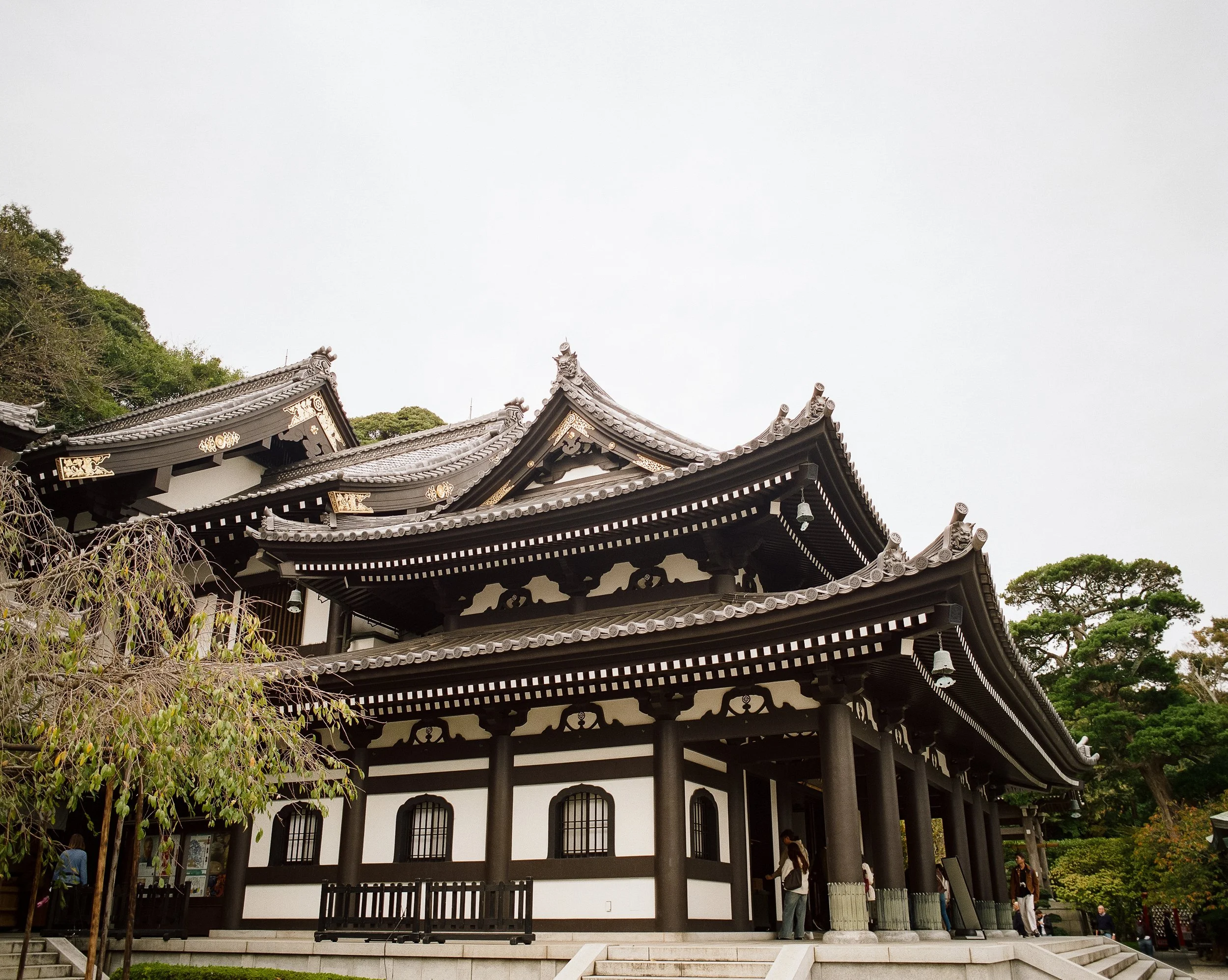 P67 P800 Kamakura 3-4.jpg