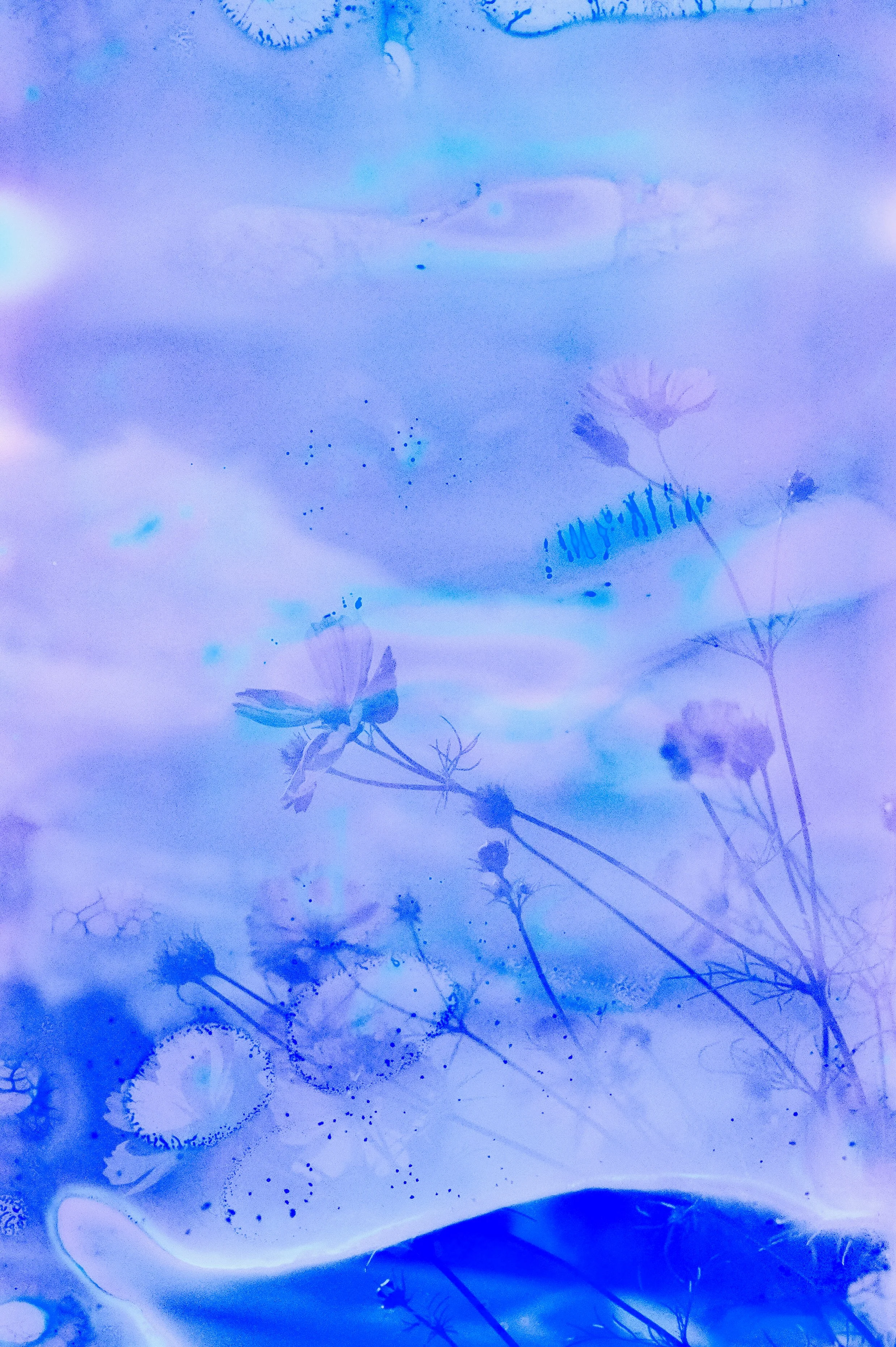 Flower Soup F200 Expired-11.jpg