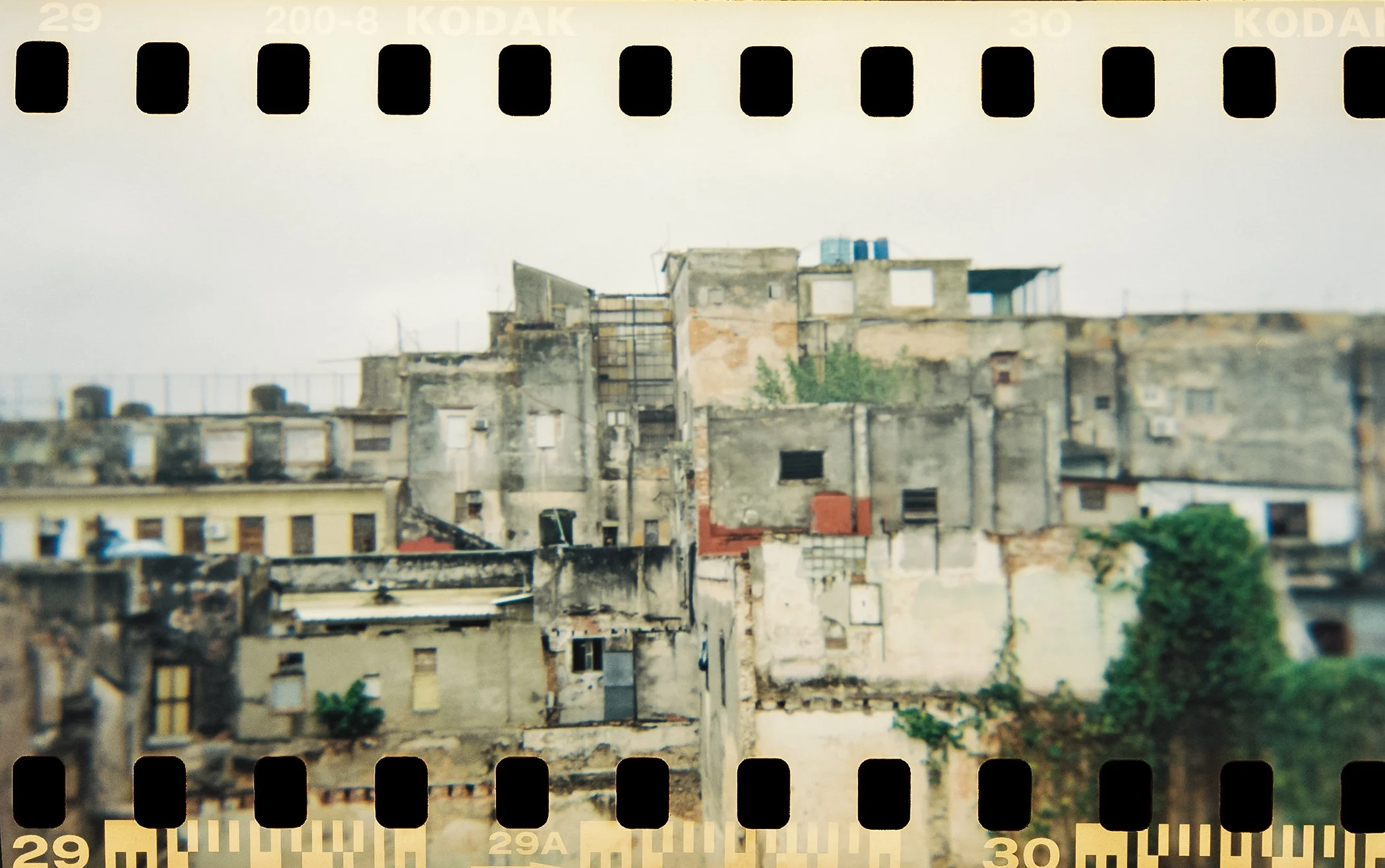 Cuba 2025 CP Holga-7.jpg