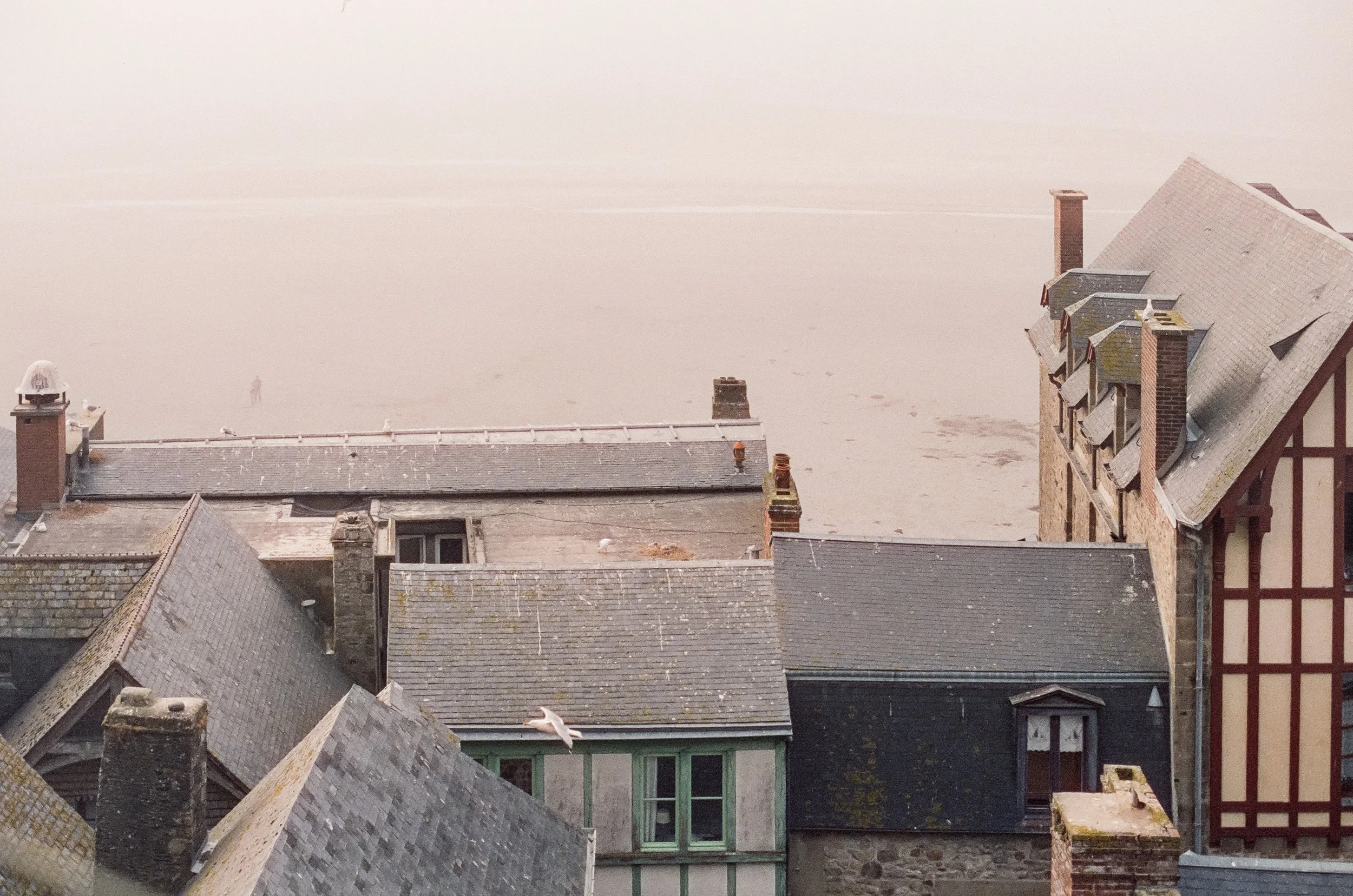 Cinestill Europe-2.jpg