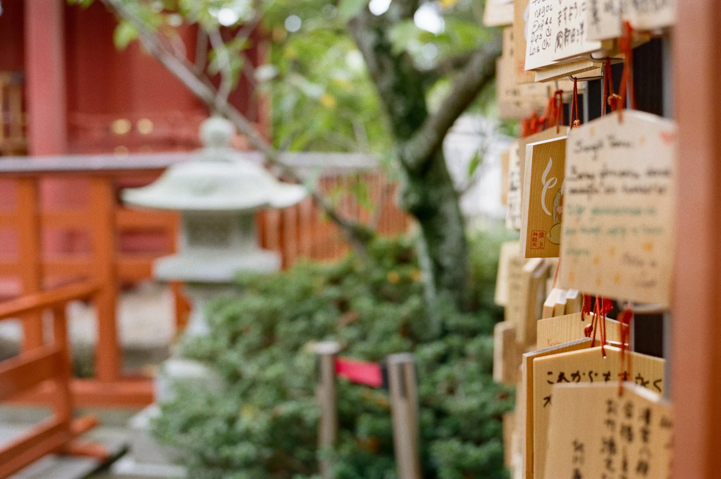 P800 G2 Kamakura-2.jpg