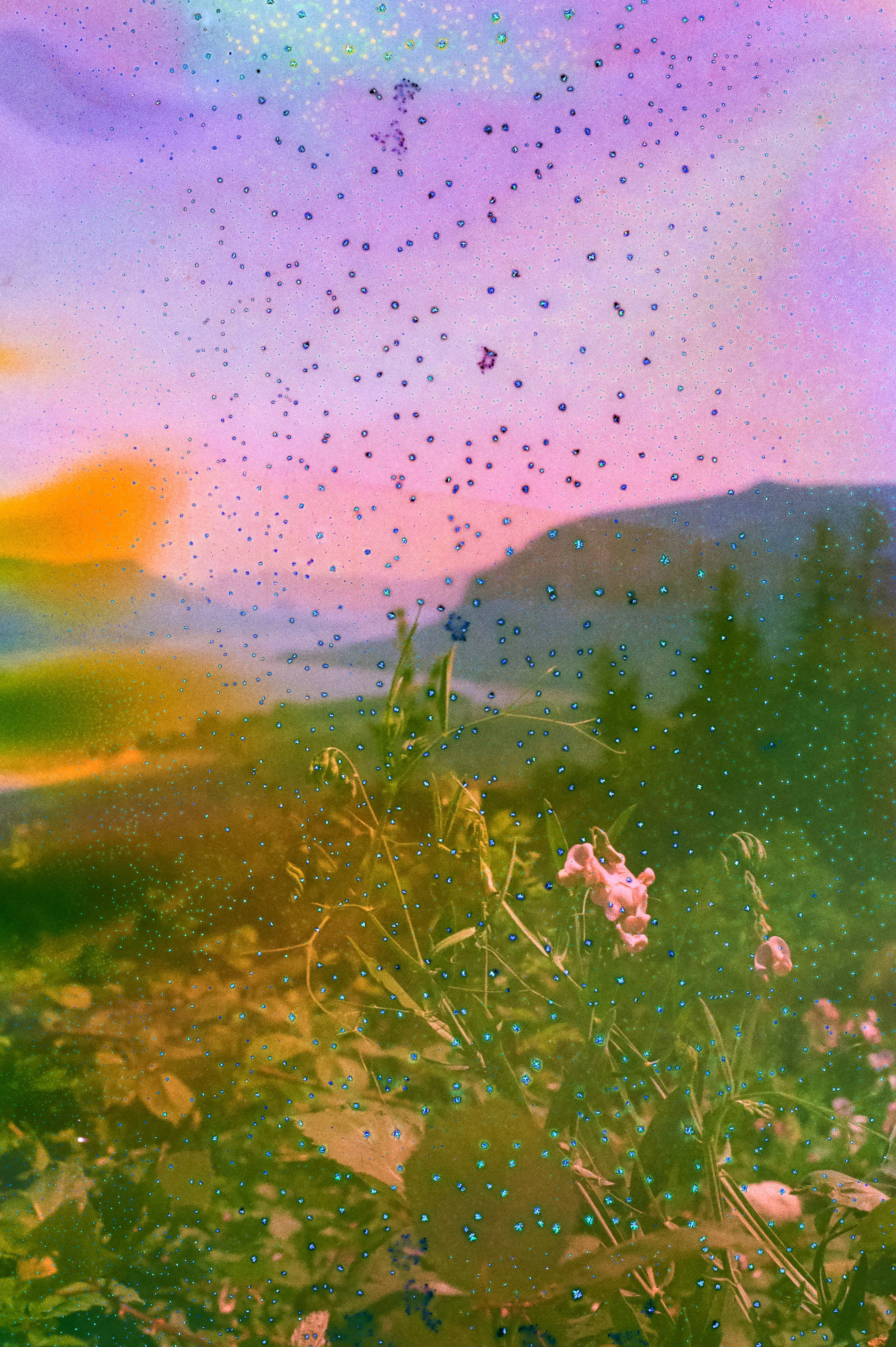 WEB Lean In SOUP F200-39.jpg