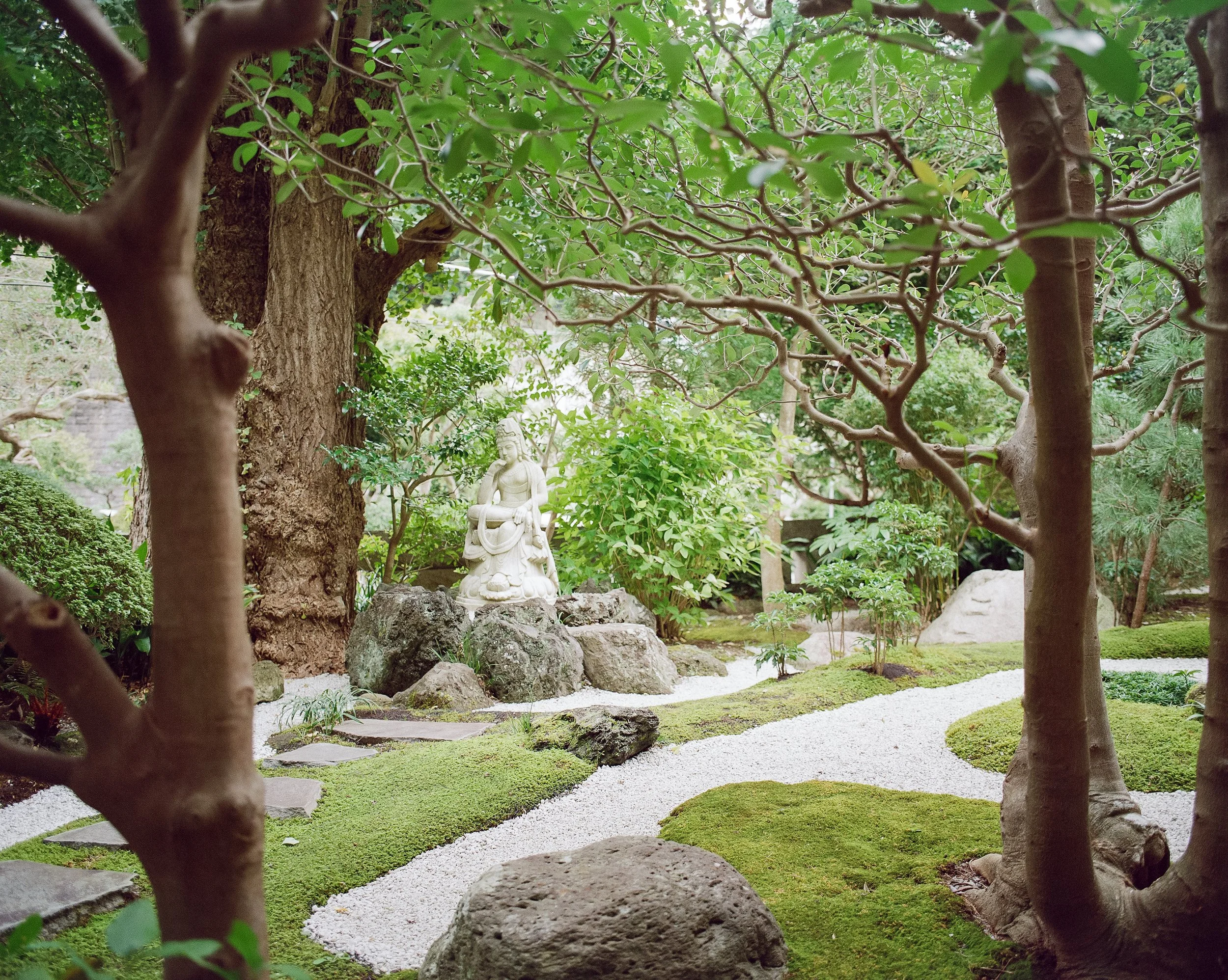 P67 P800 Kamakura-6.jpg