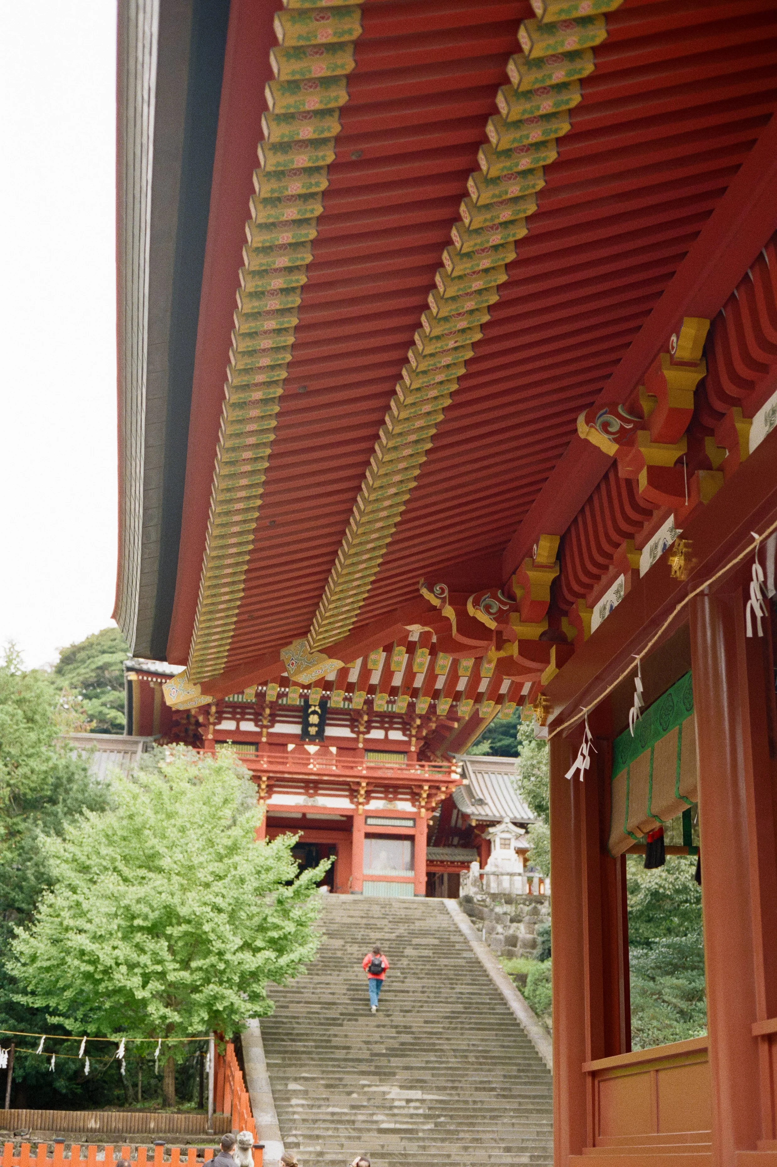 P800 G2 Kamakura-14.jpg