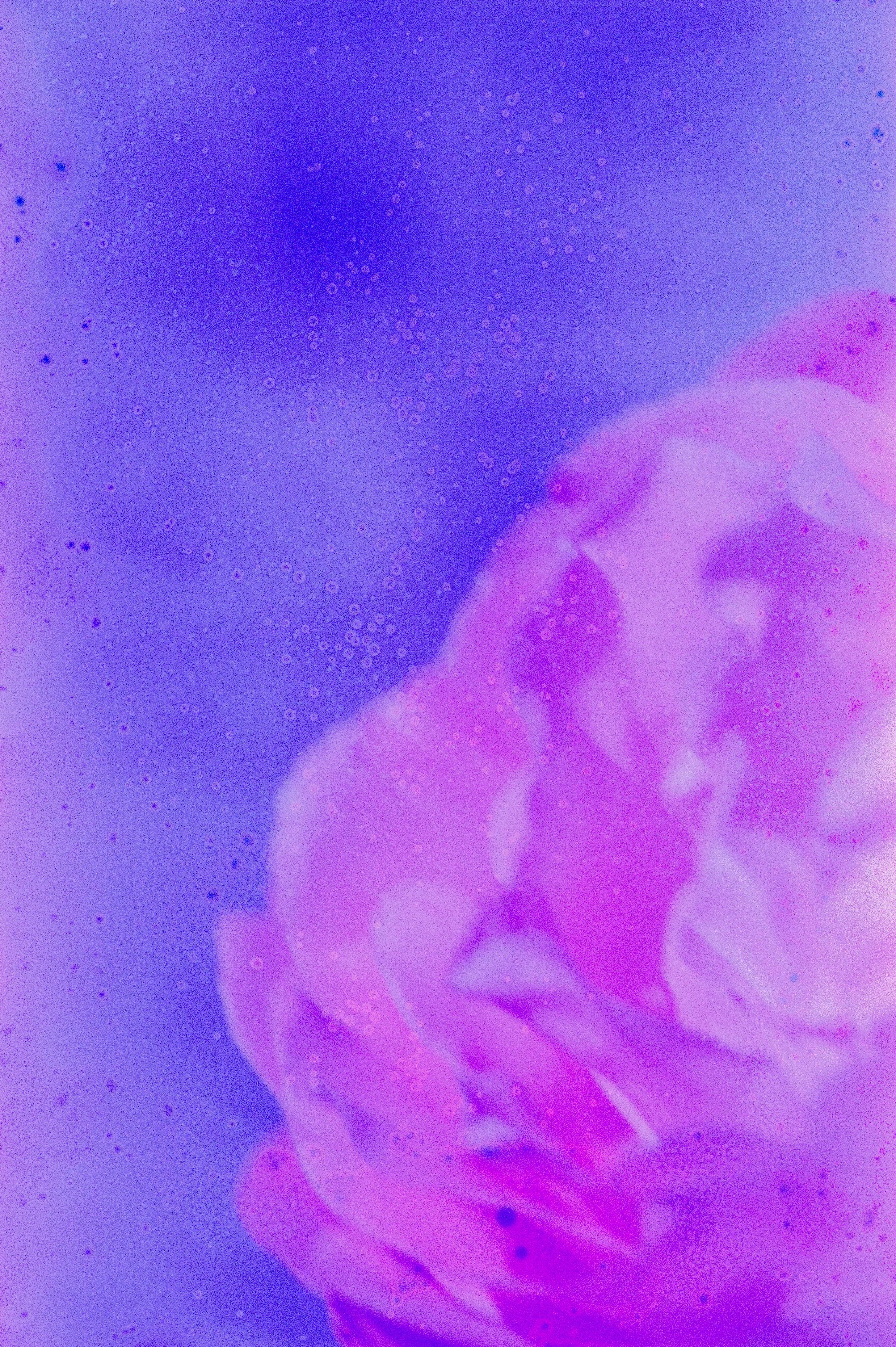 Flower Soup F200 Expired-17.jpg