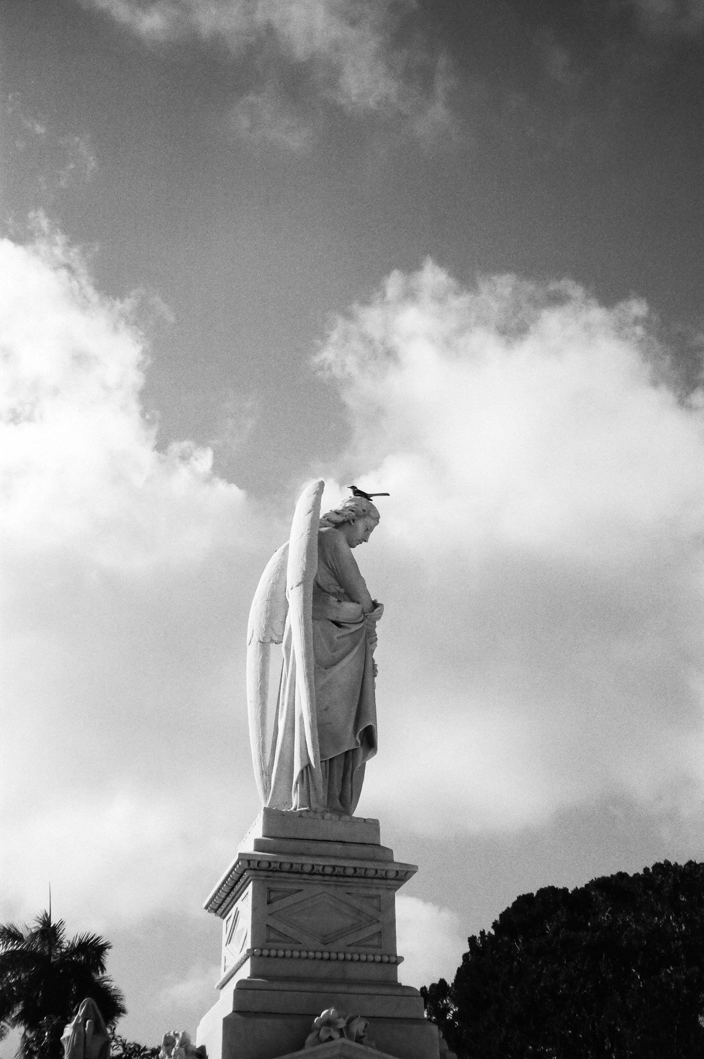 Cuba 2025 HP5-4.jpg