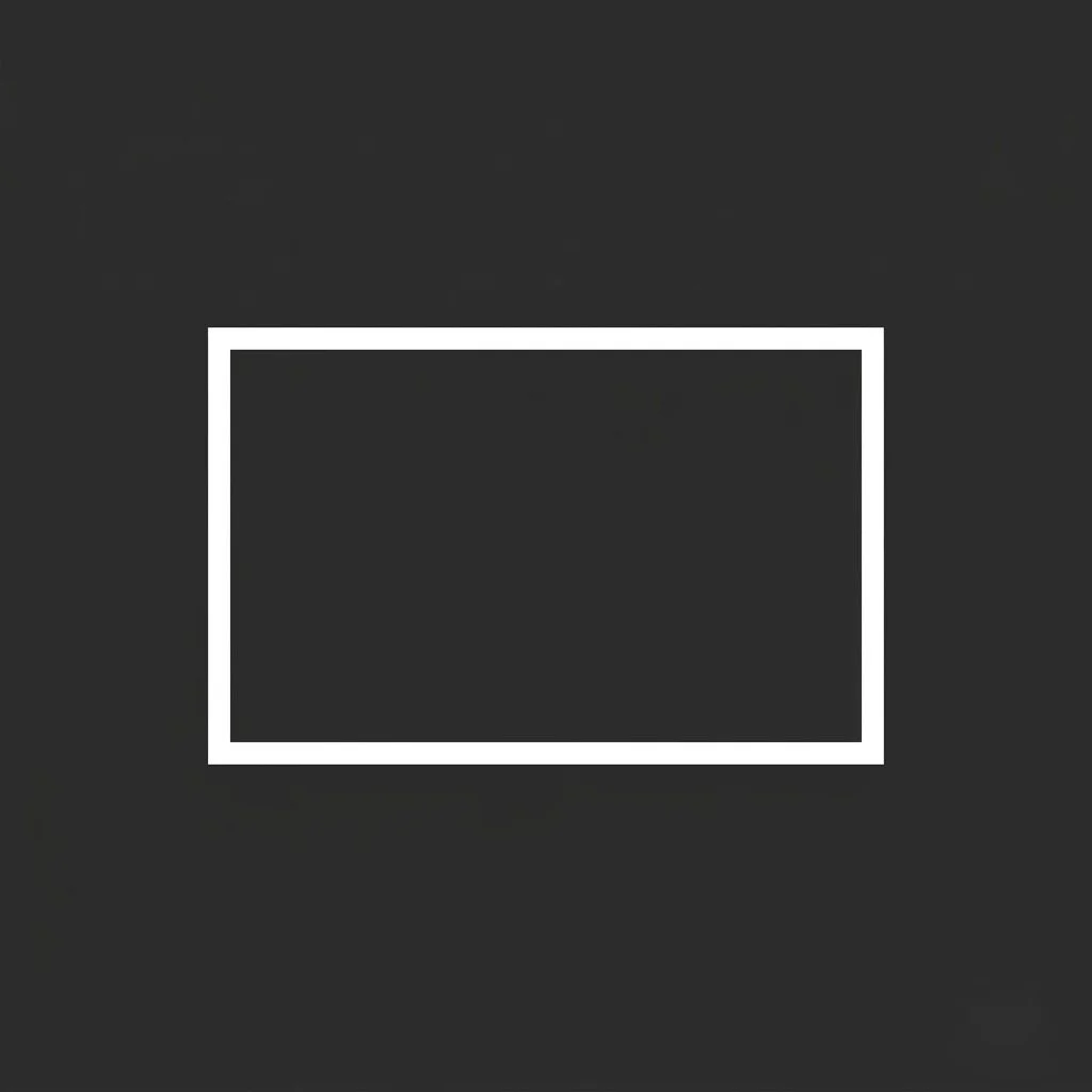A dark gray camera viewfinder screen with a white rectangular outline in the center.