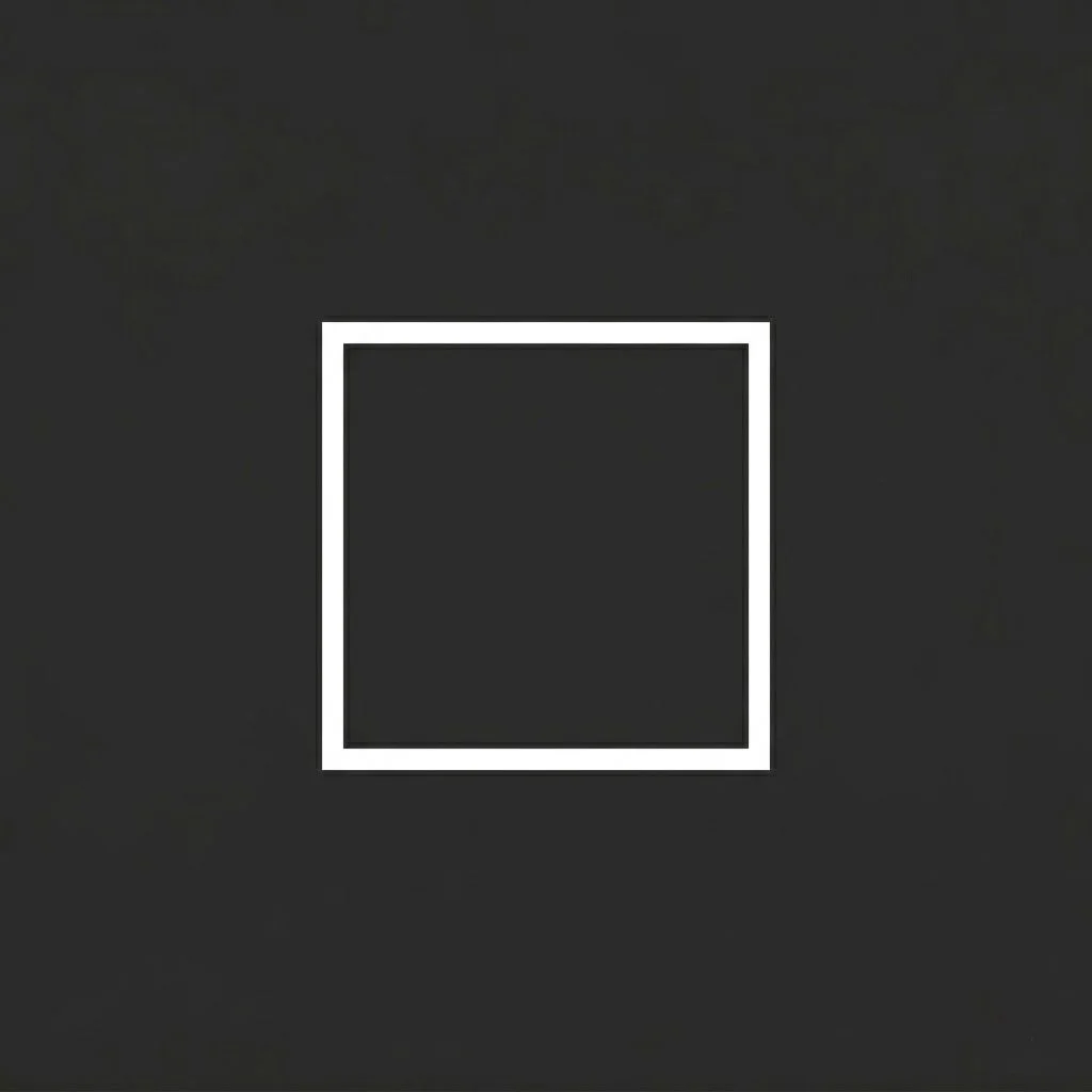 A black square with a white border inside a black background.
