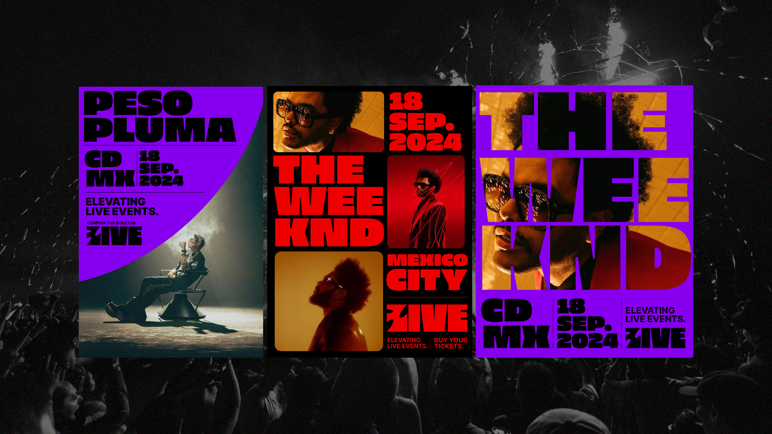 ppts_Mesa de trabajo 1.png