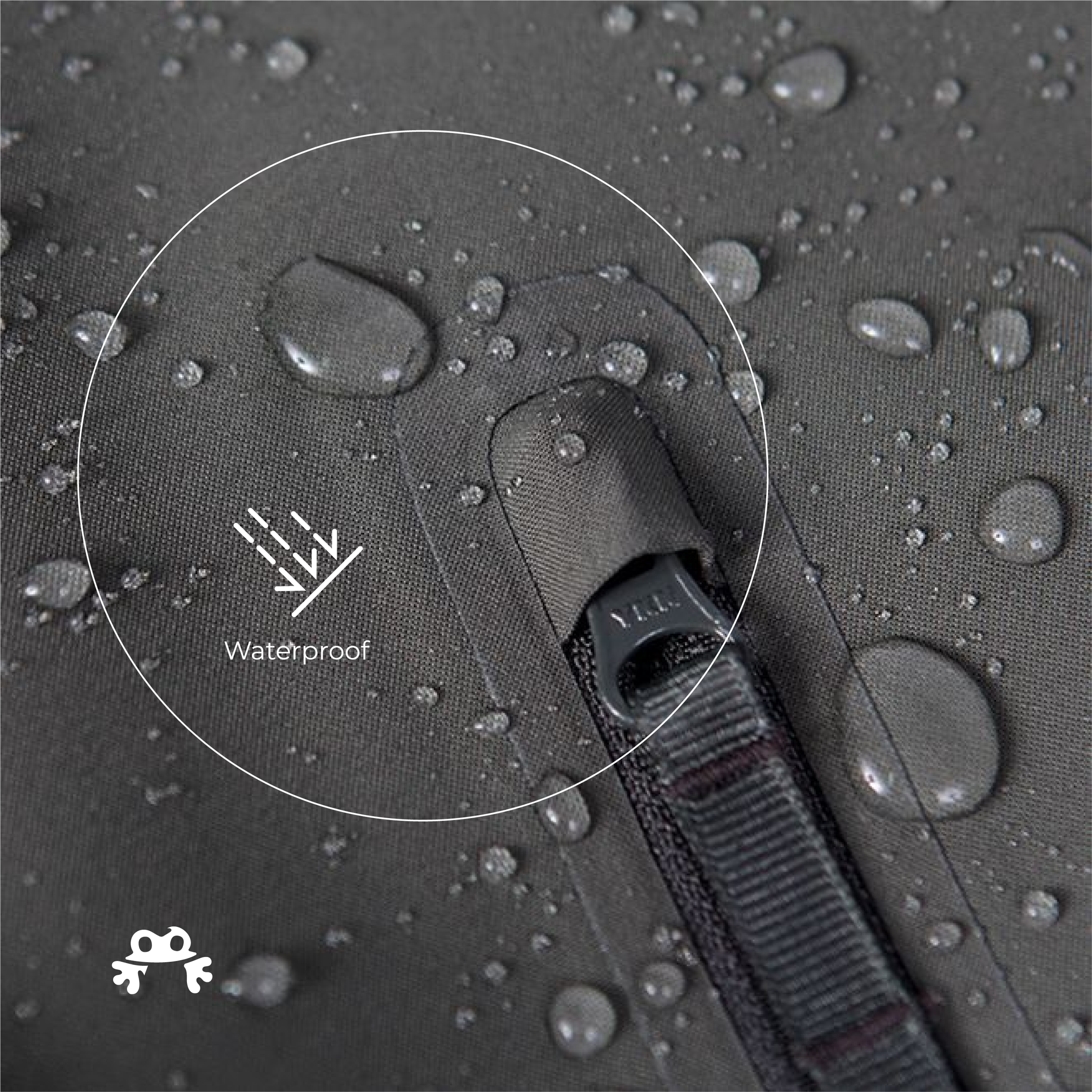 Danton logo rana-10.png