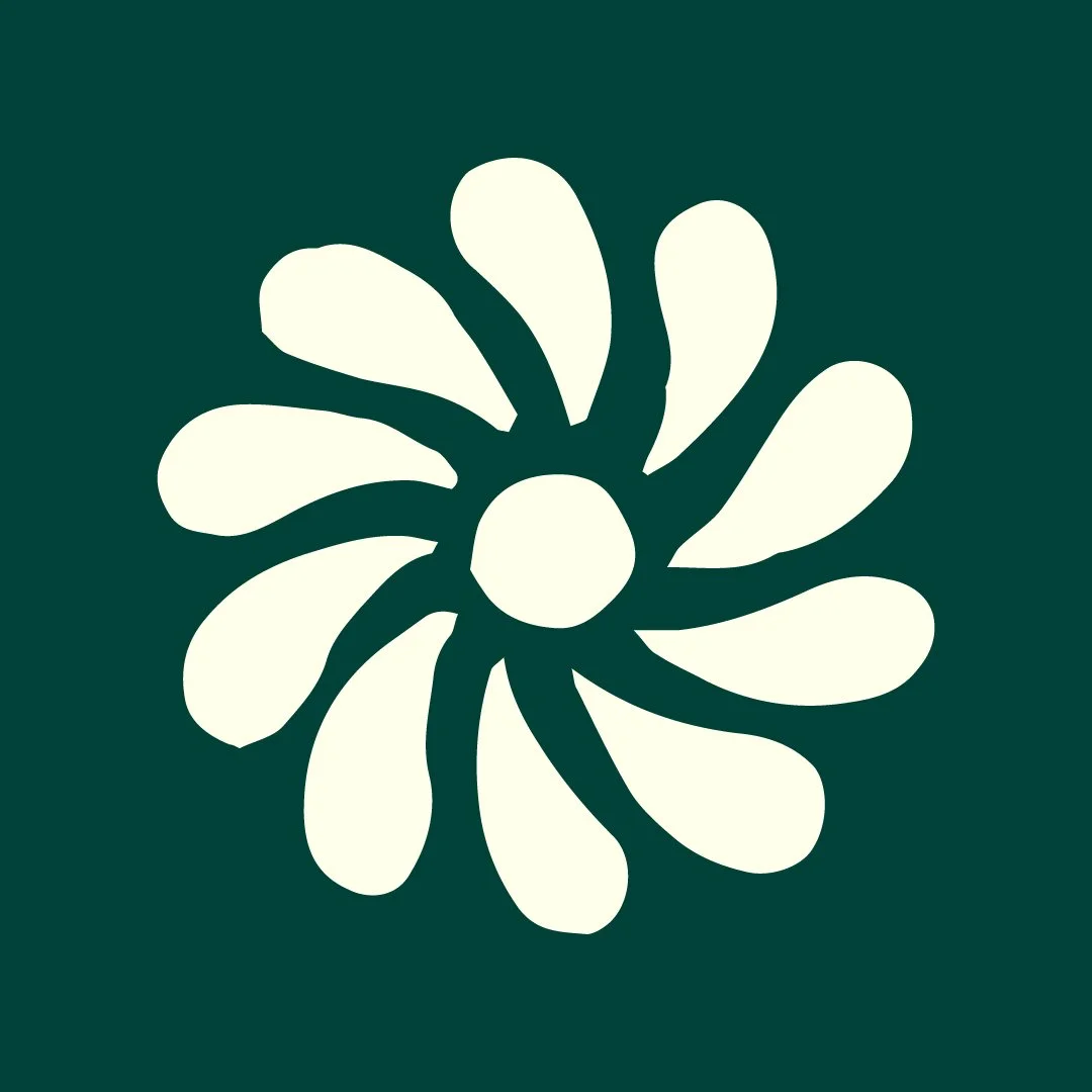 Stylized white flower with elongated petals on a dark green background.